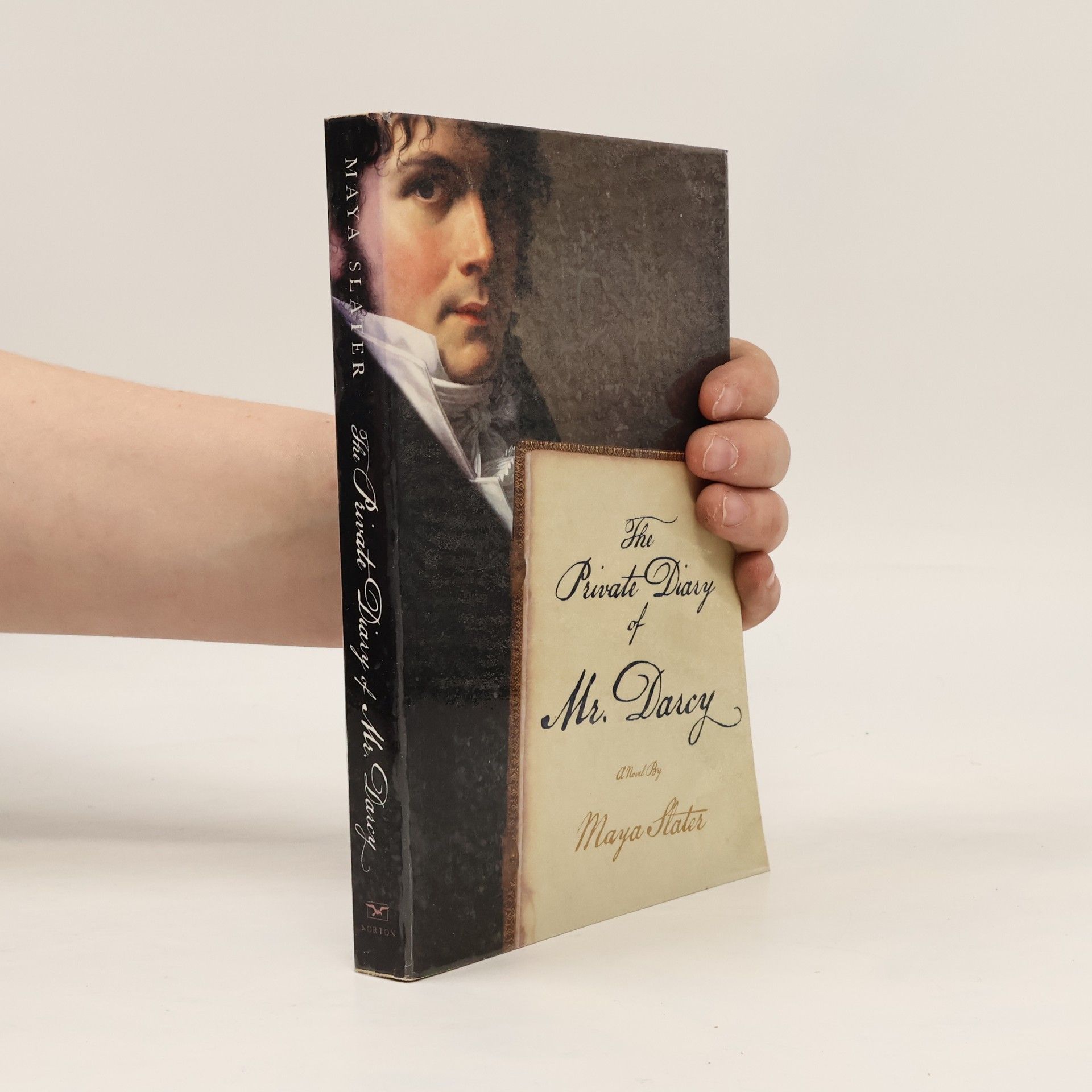 Maya Slater Private Diary of Mr. Darcy