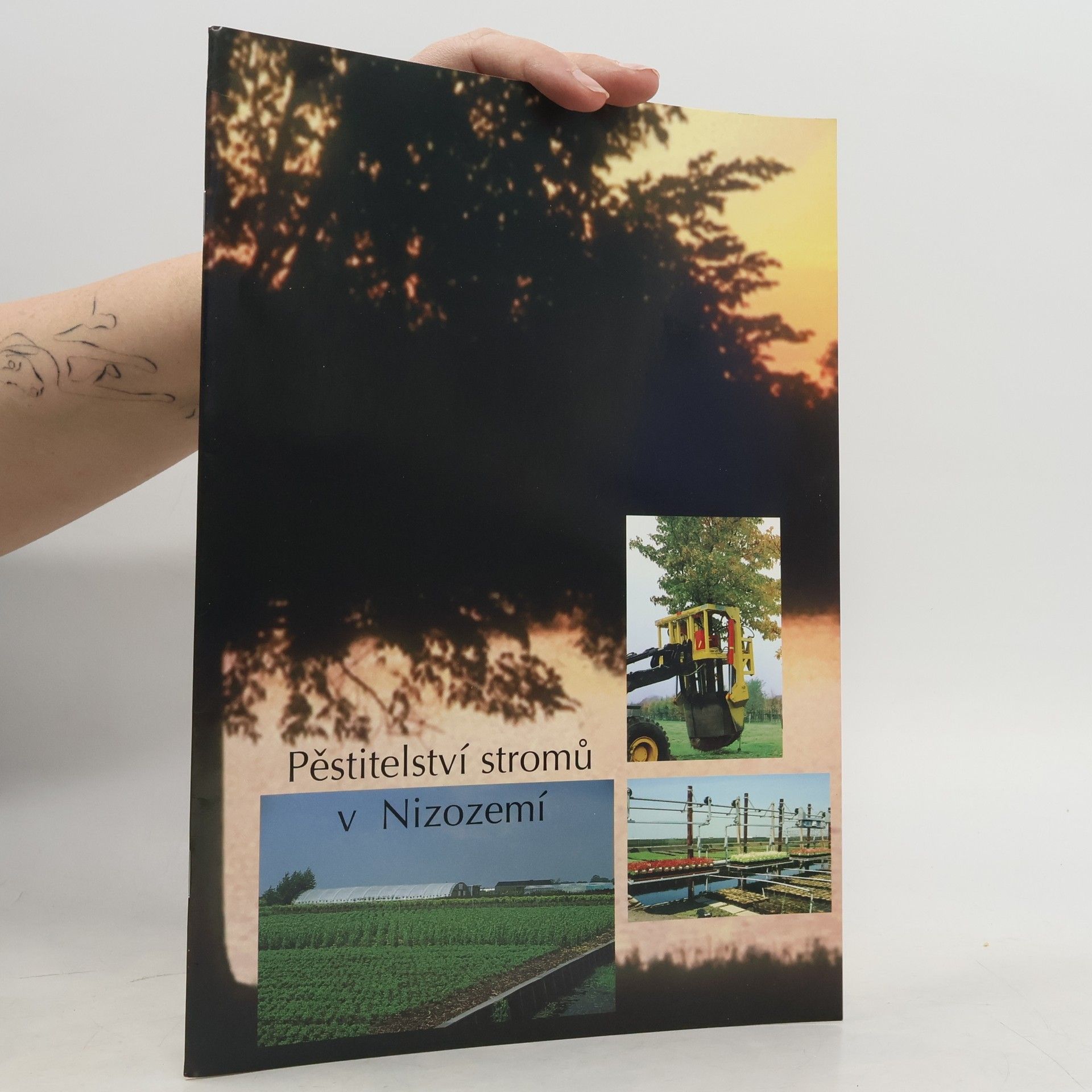 Kolektív autorov Pěstitelství stromů v Nizozemí