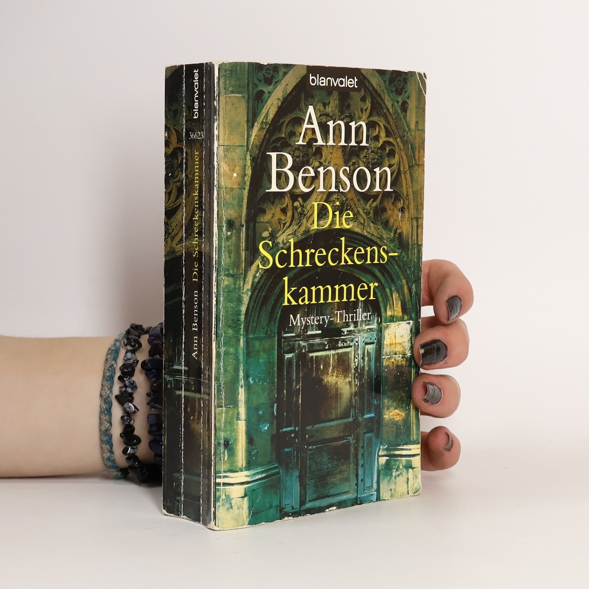 Ann Benson Die Schreckenskammer