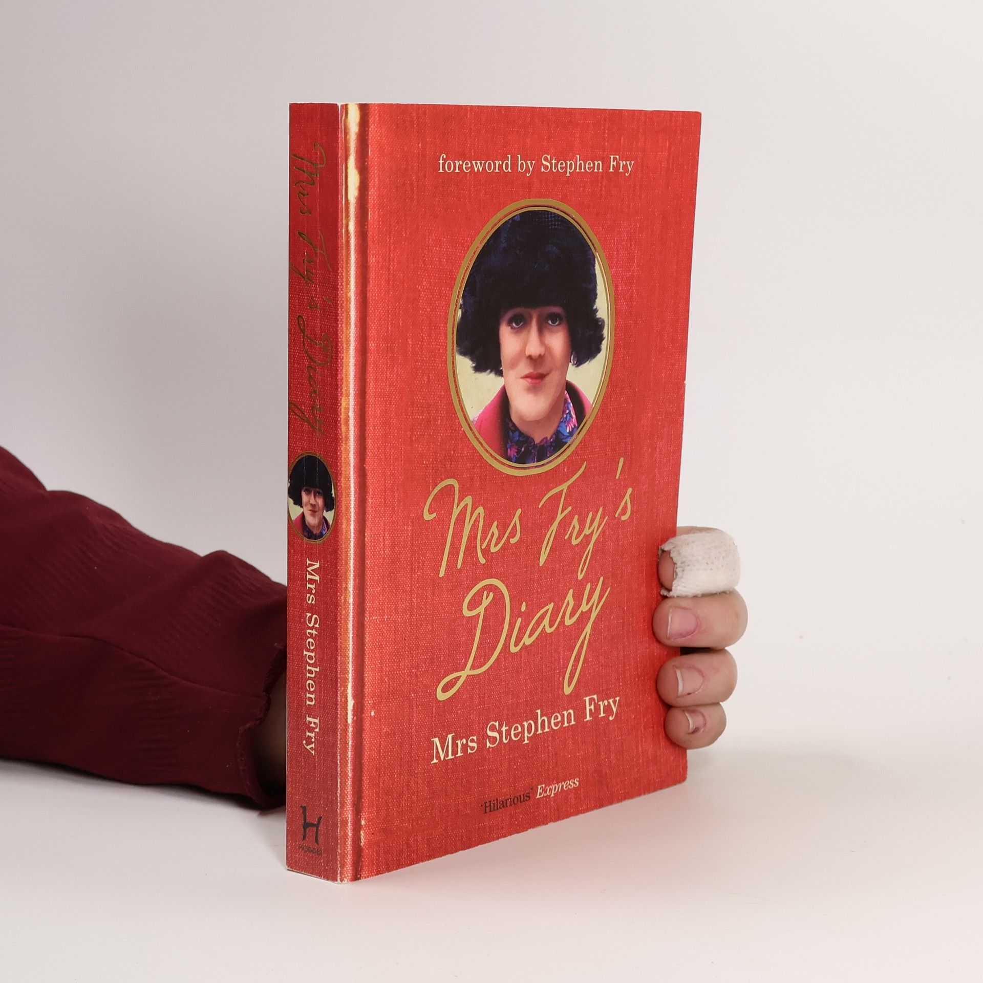 Stephen Fry Mrs. Fry's Diary