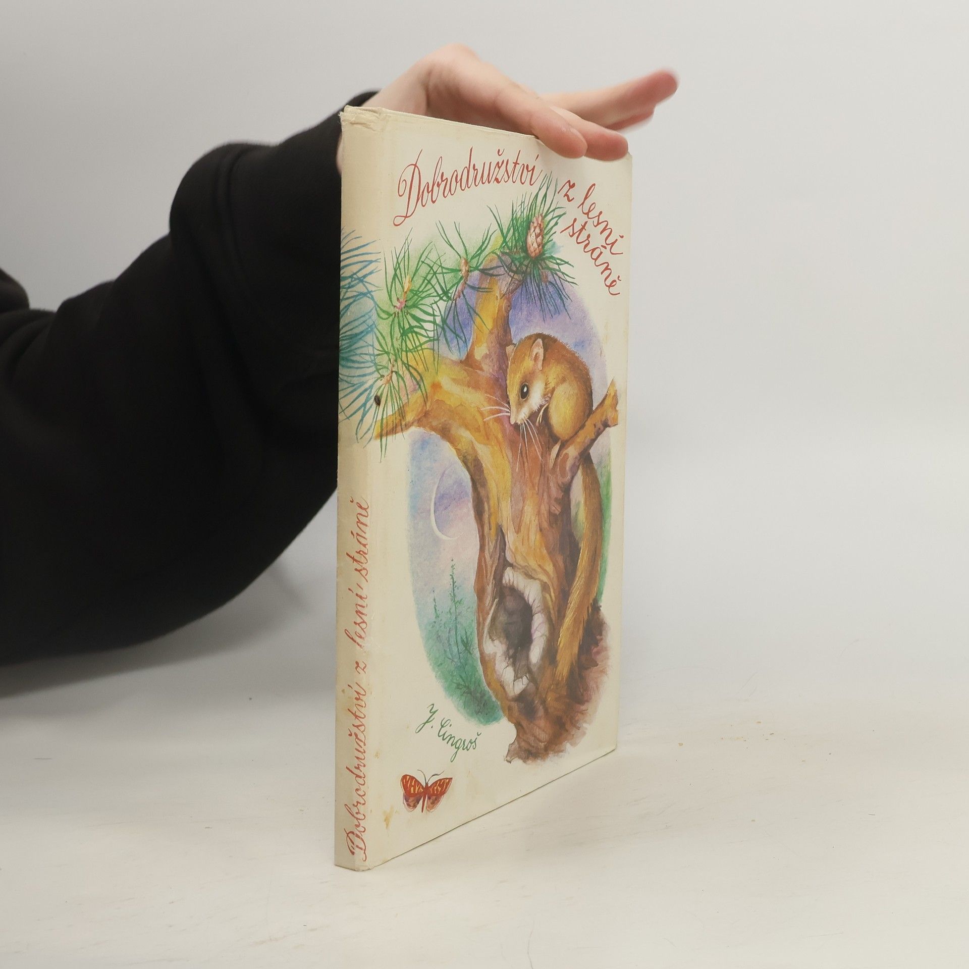 Dobrodružství z lesní stráně