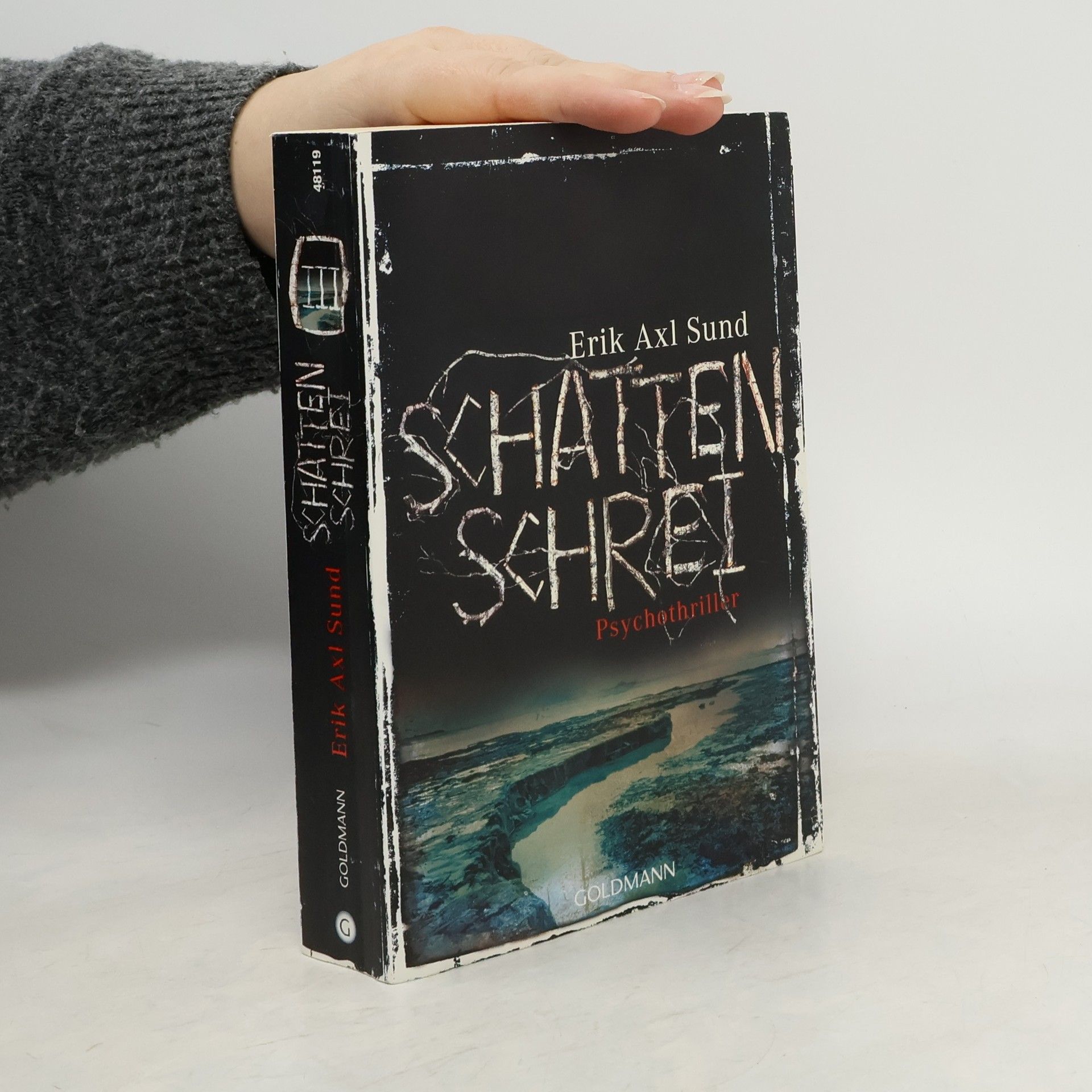 Erik Axl Sund Schattenschrei