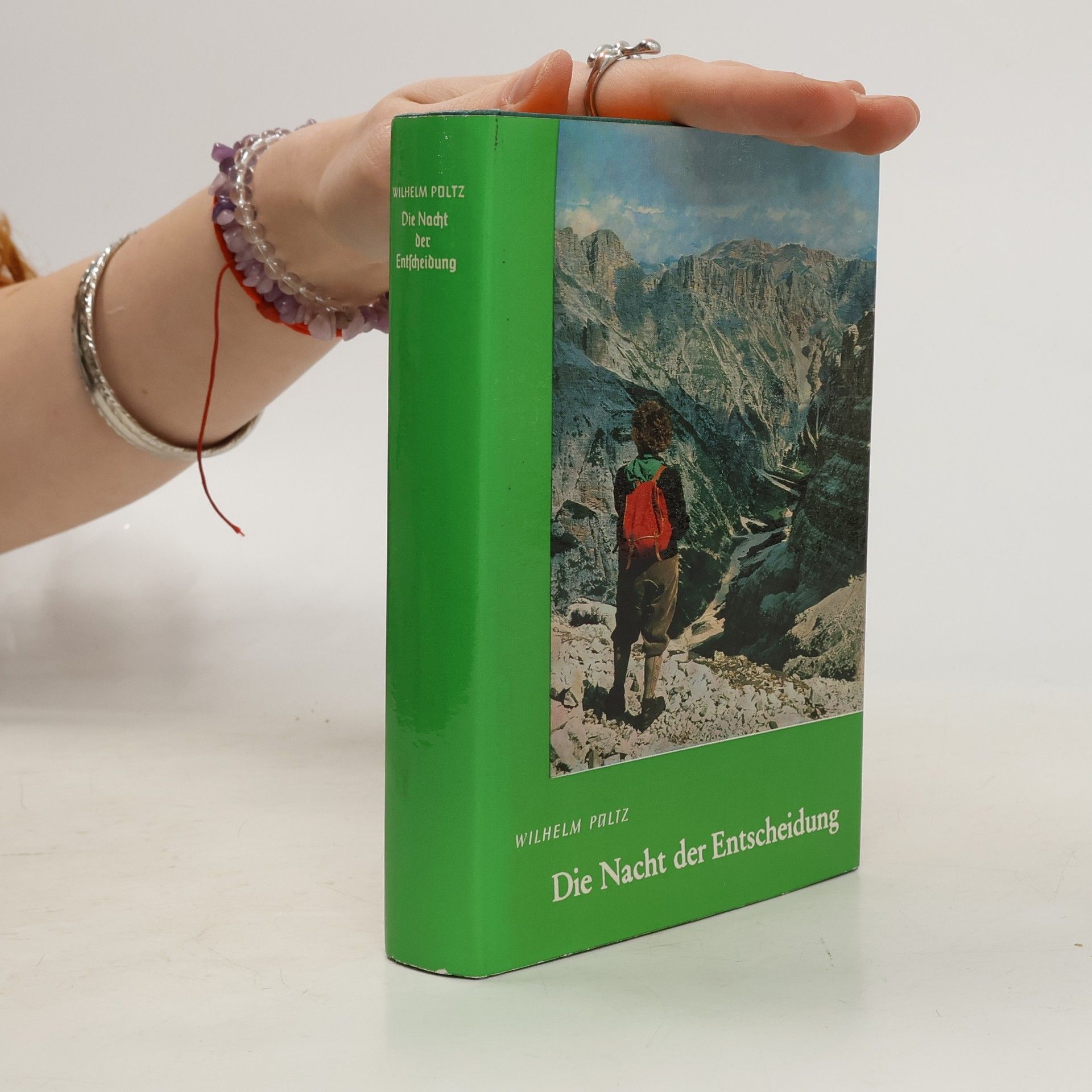 Wilhelm Poltz Die Nacht der Entscheidung
