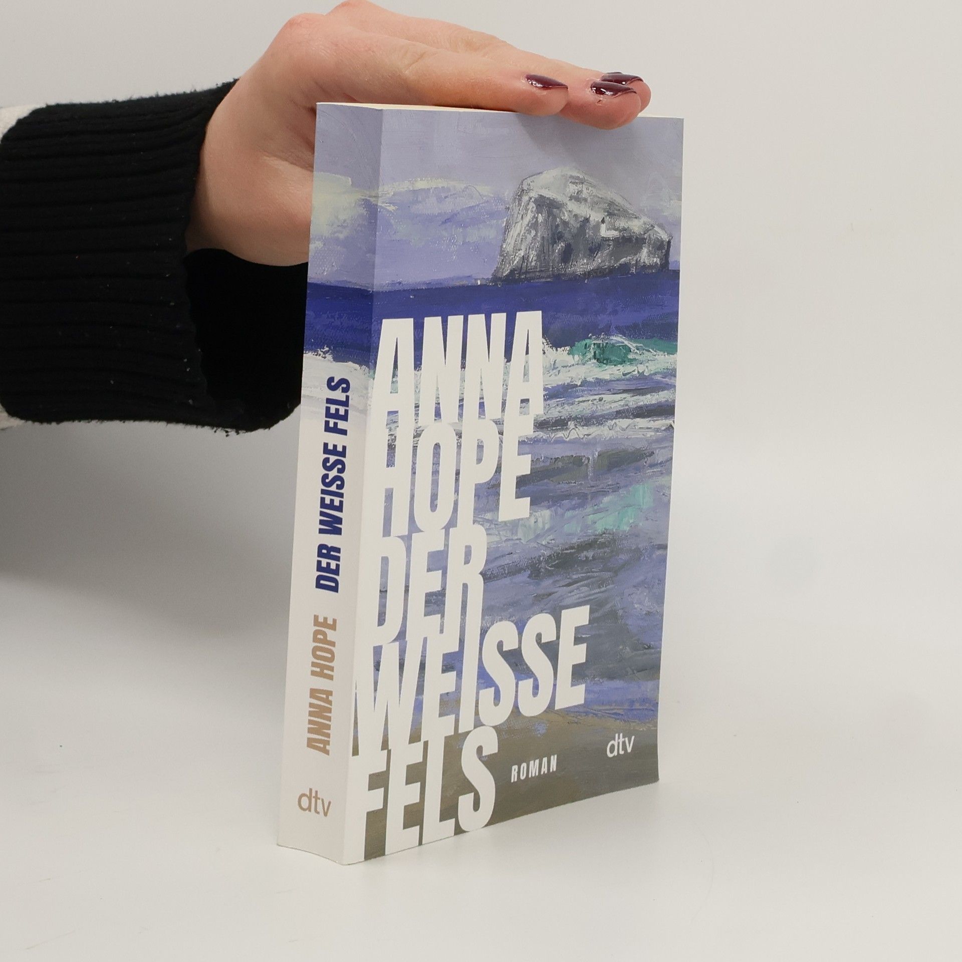 Anna Hope Der weiße Fels