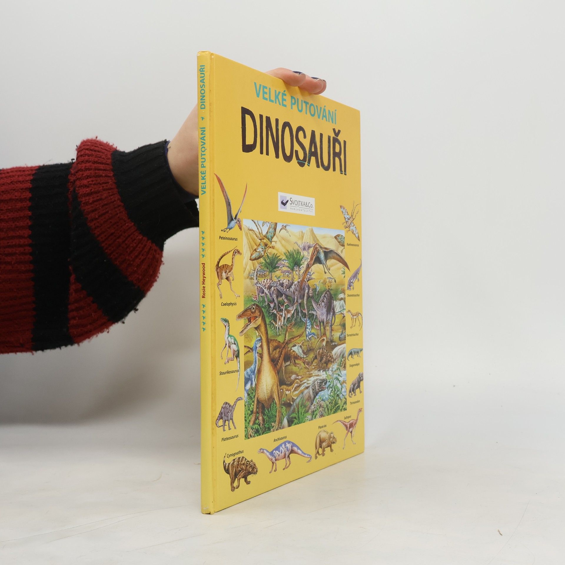 Autorenkollektiv Velké putování za dinosaury