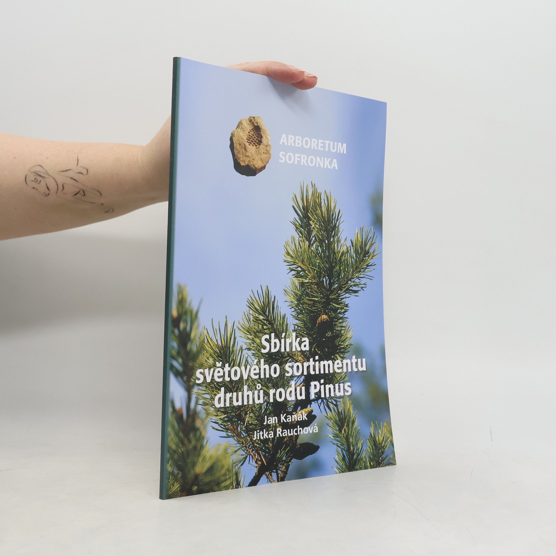 Sbírka světového sortimentu druhů rodu Pinus : Arboretum Sofronka