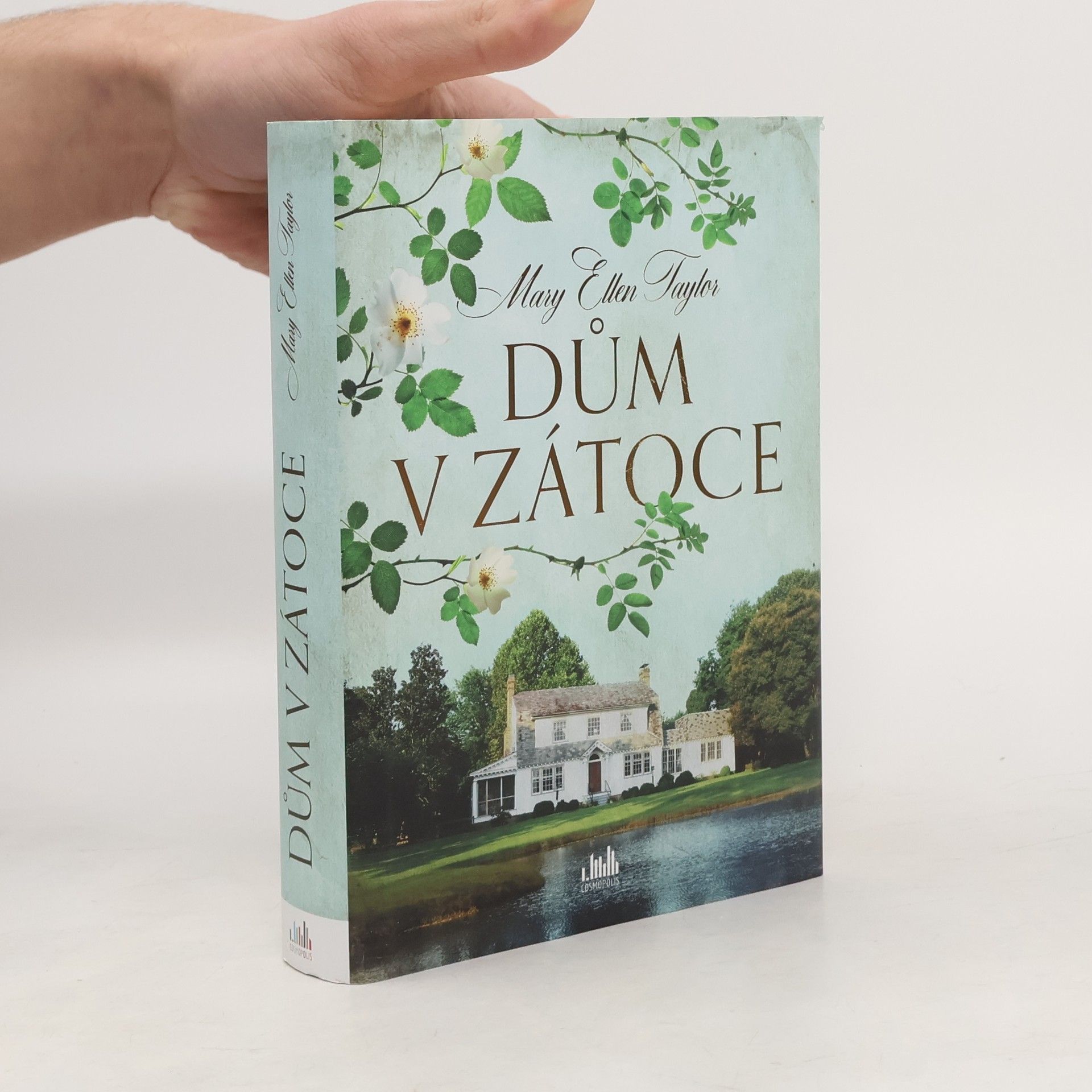 Mary Ellen Taylor Dům v zátoce