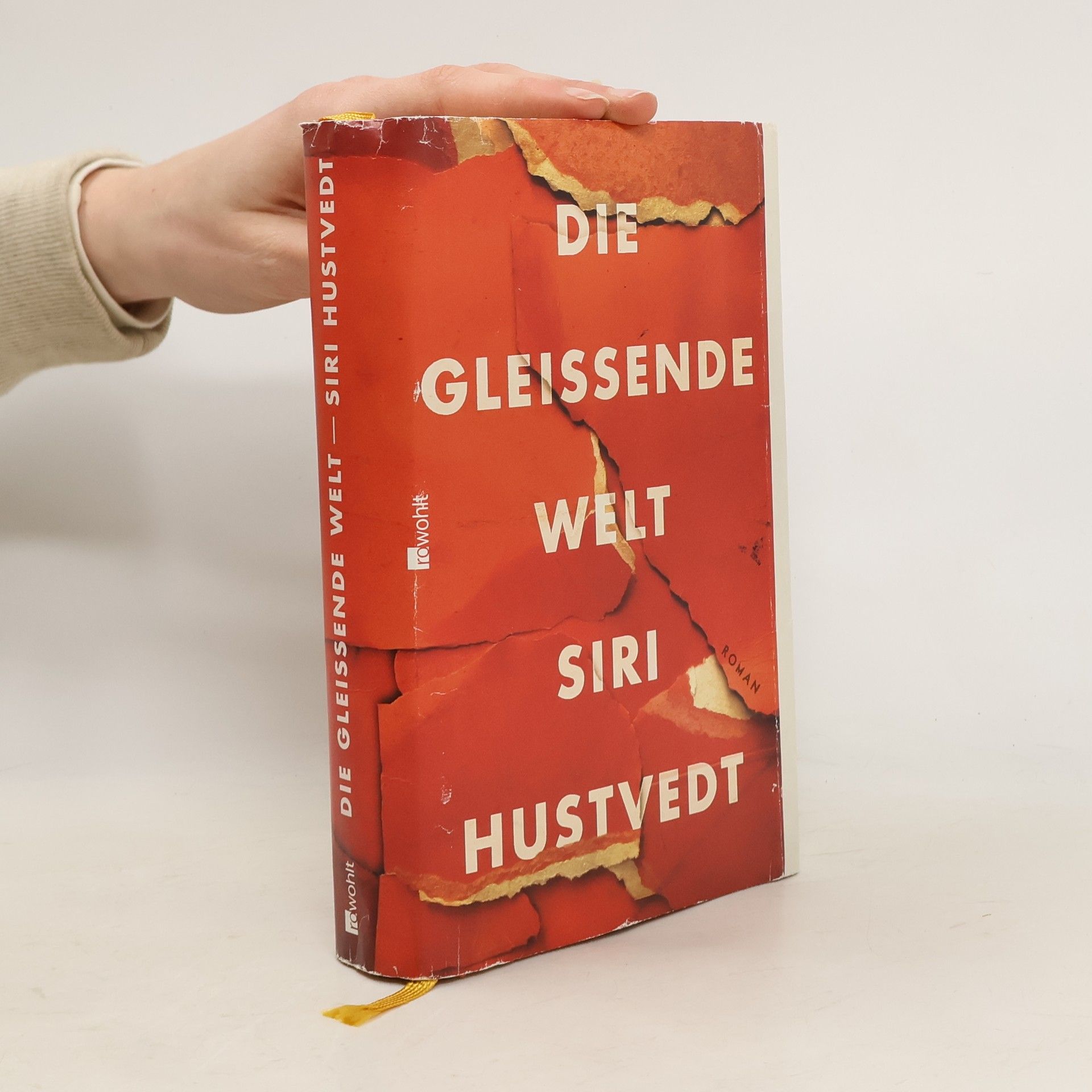 Siri Hustvedt Die gleissende Welt