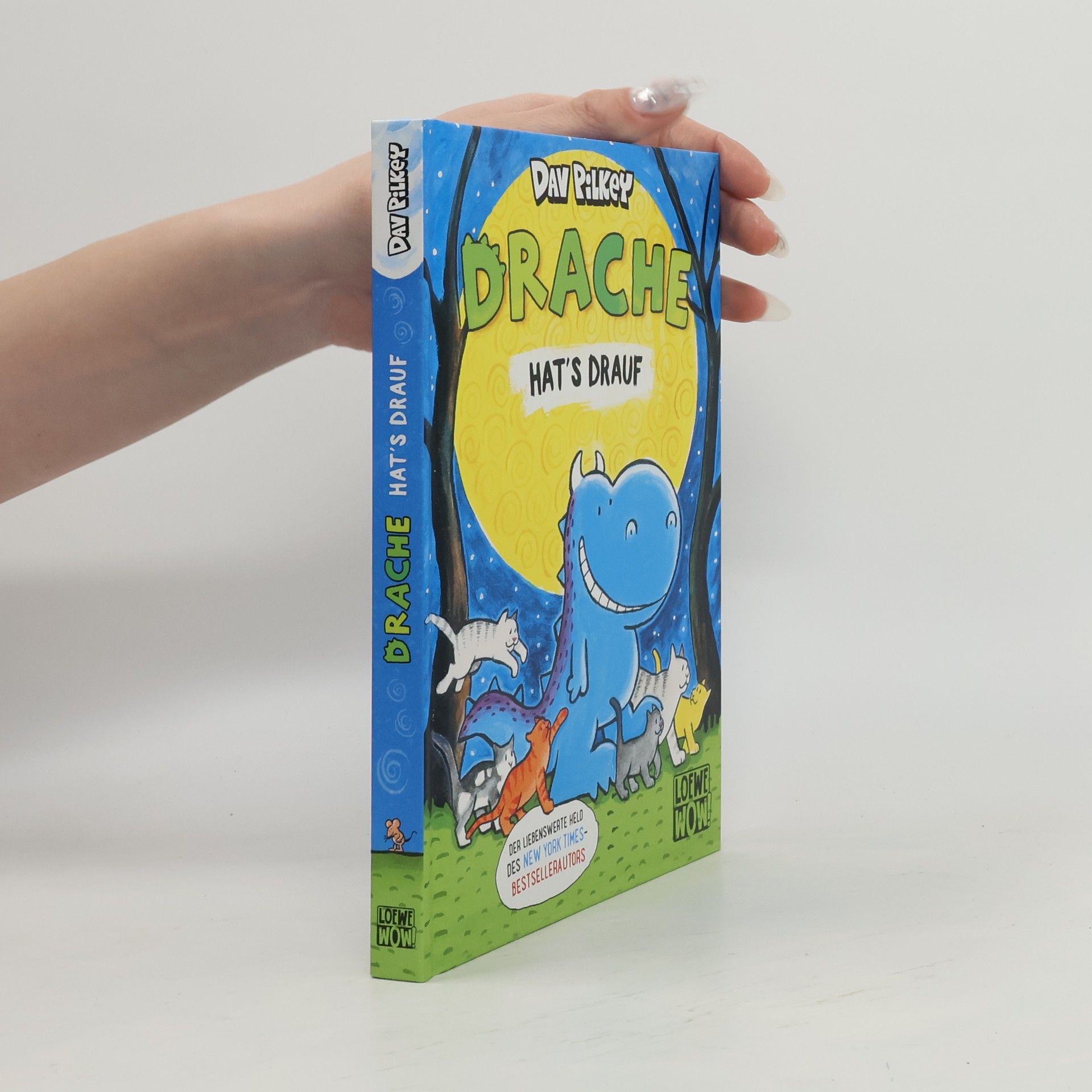 Dav Pilkey Drache hat's drauf