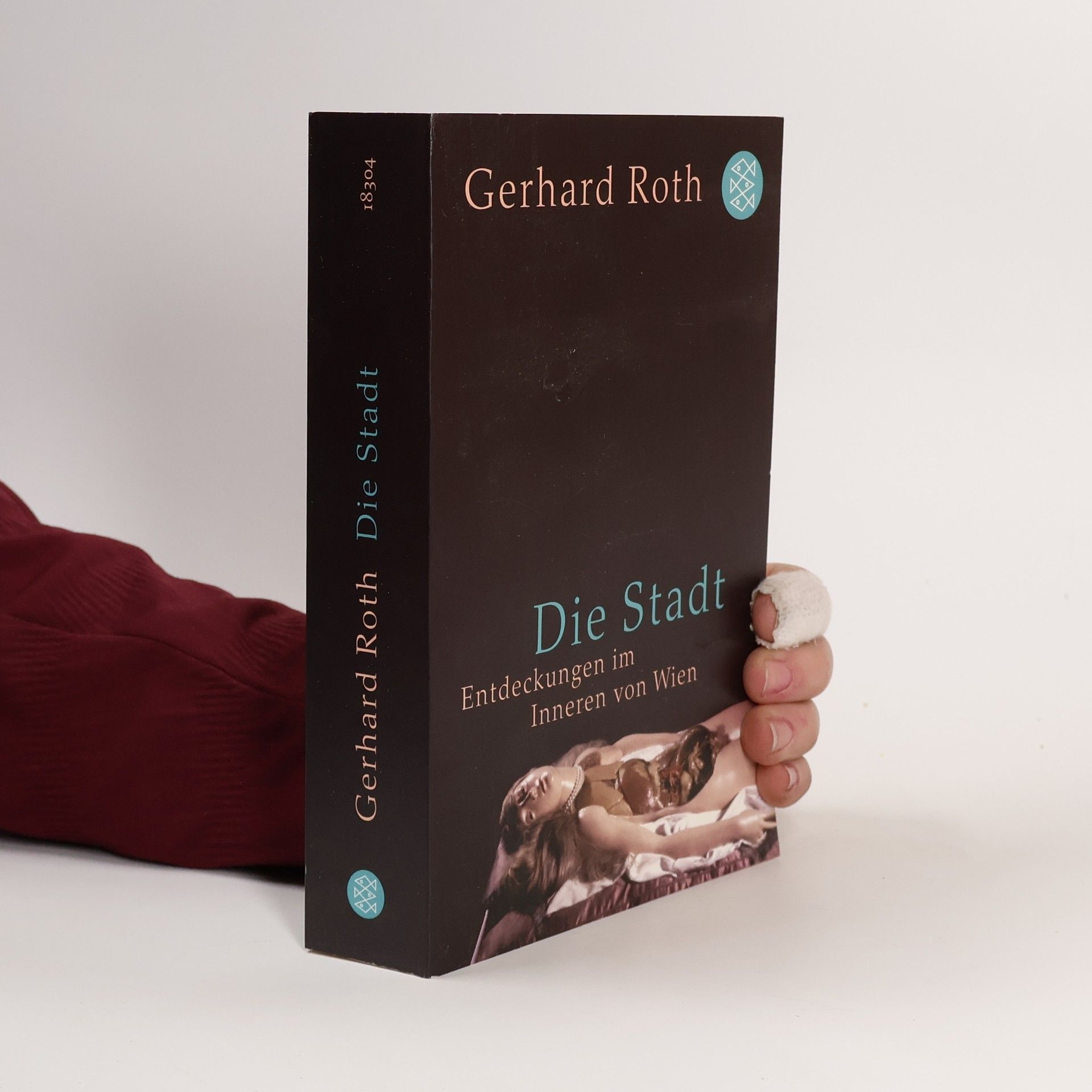 Gerhard Roth Die Stadt