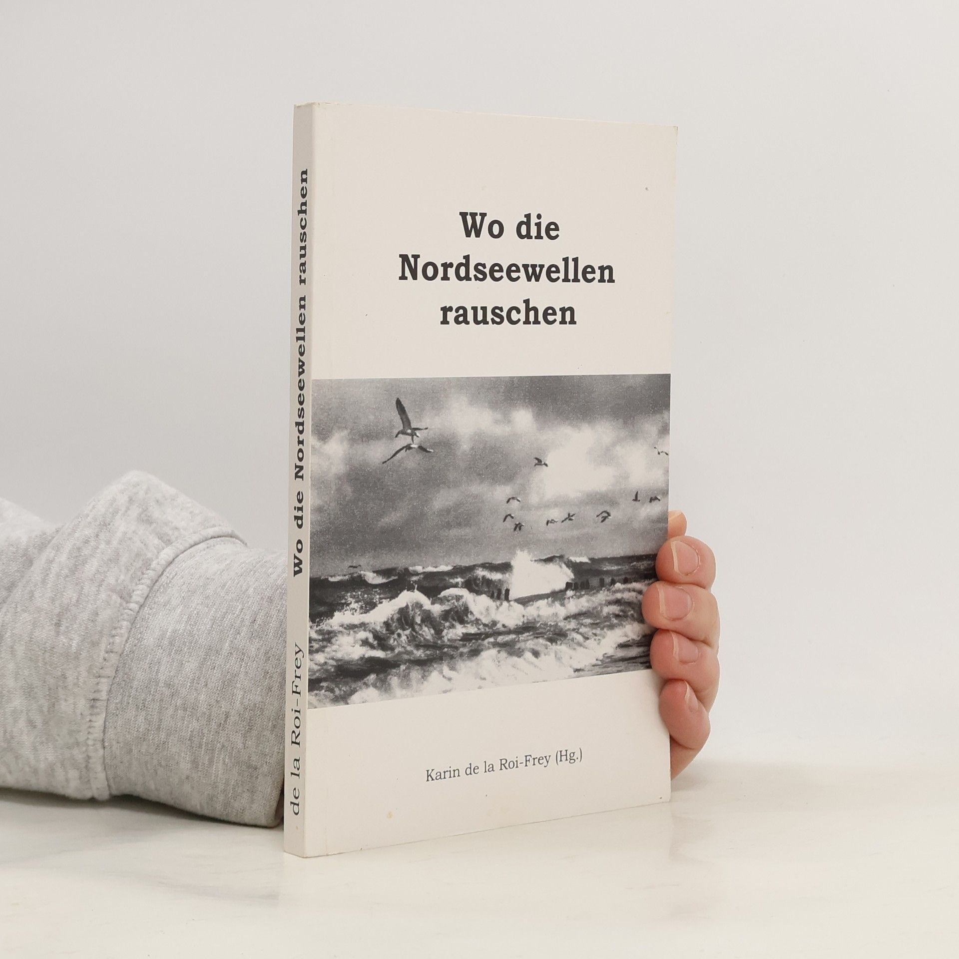 Wo die Nordseewellen rauschen