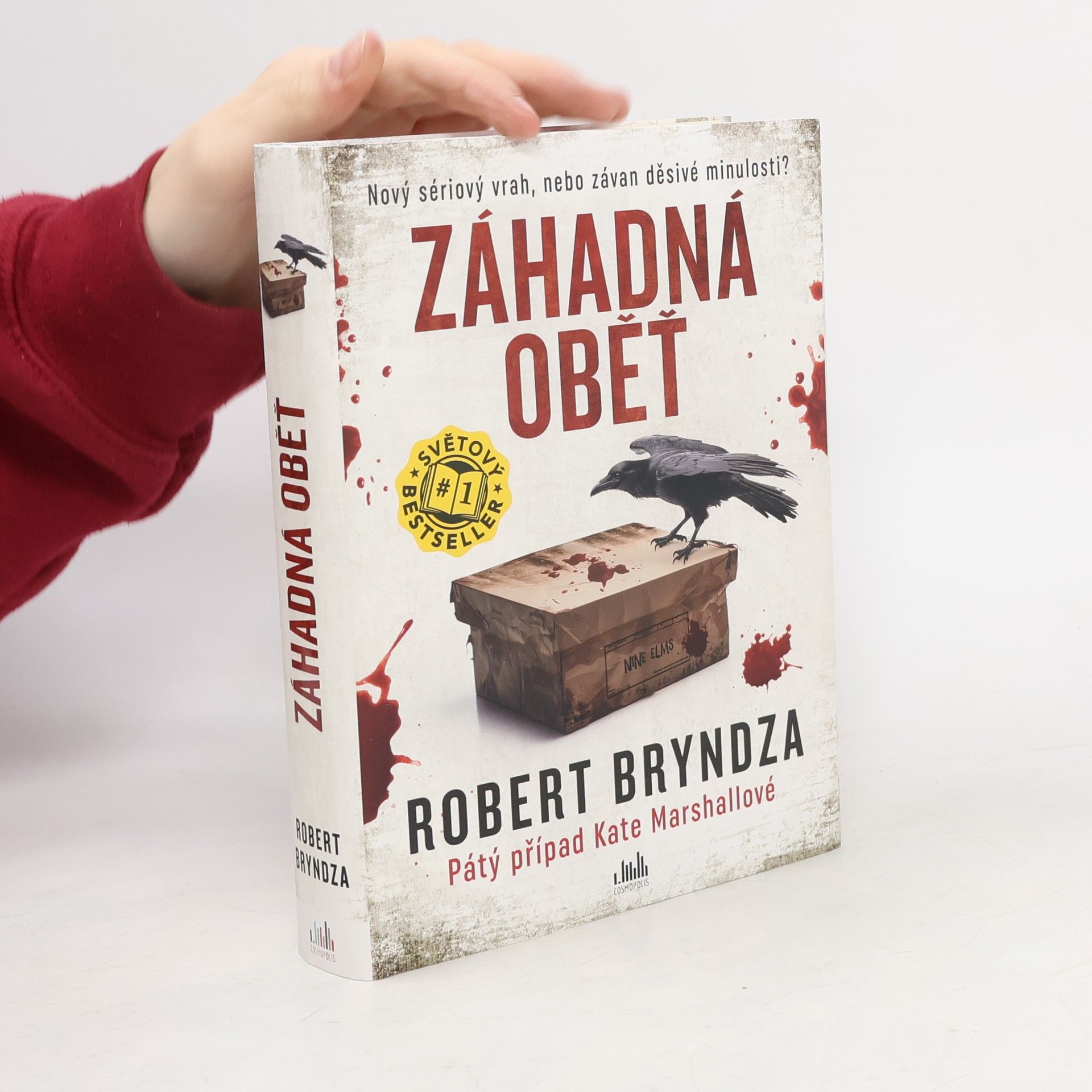 Robert Bryndza Záhadná oběť