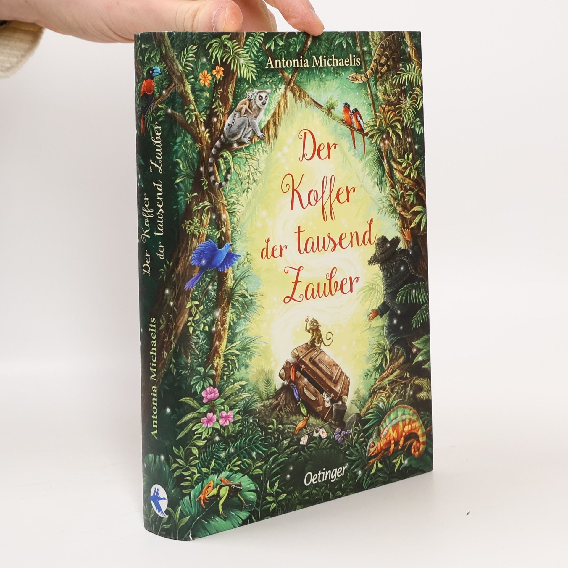 Antonia Michaelis Der Koffer der tausend Zauber