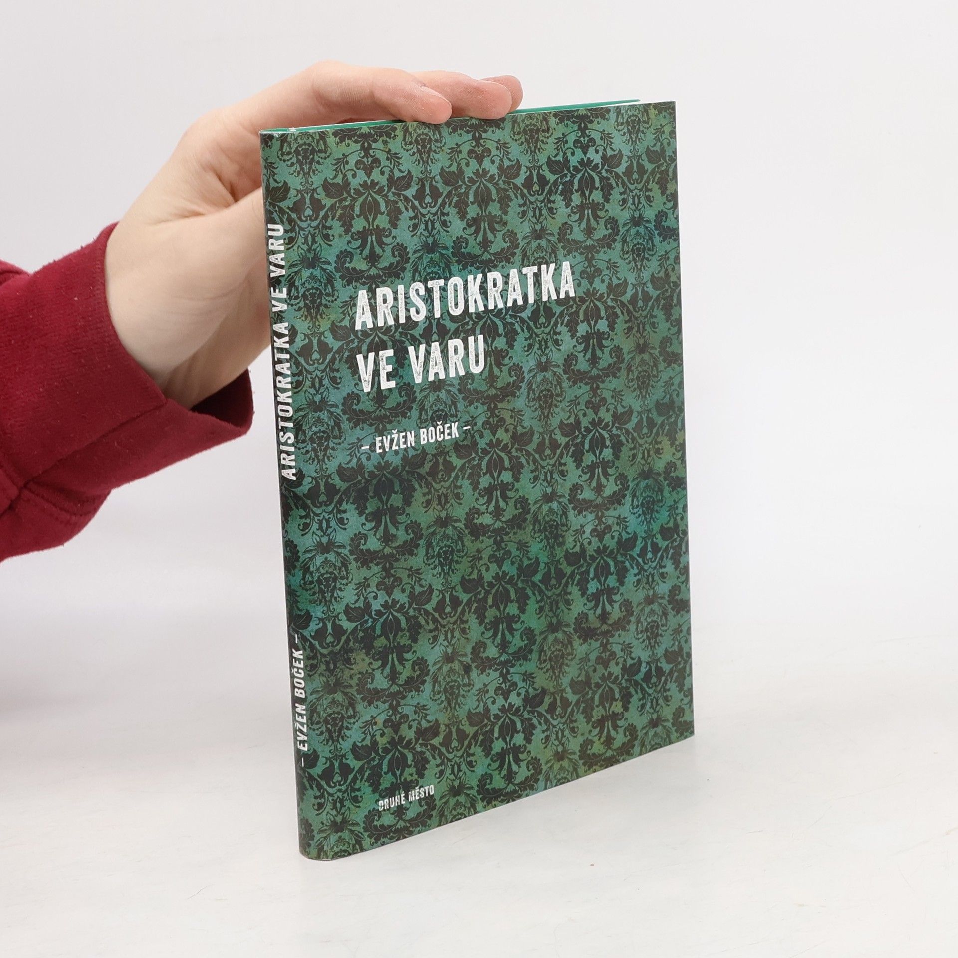 Evžen Boček Aristokratka ve varu