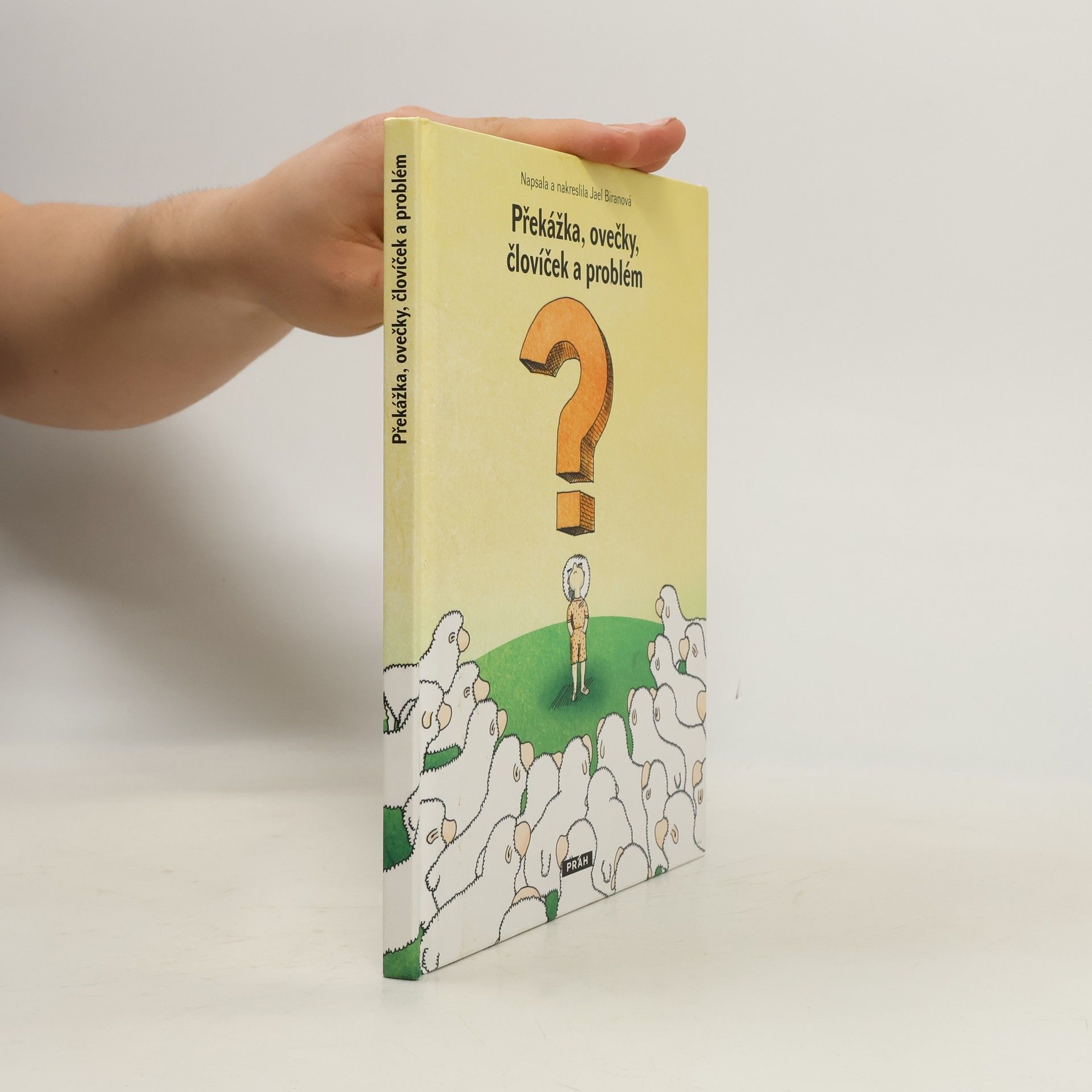 Překážka, ovečky, človíček a problém