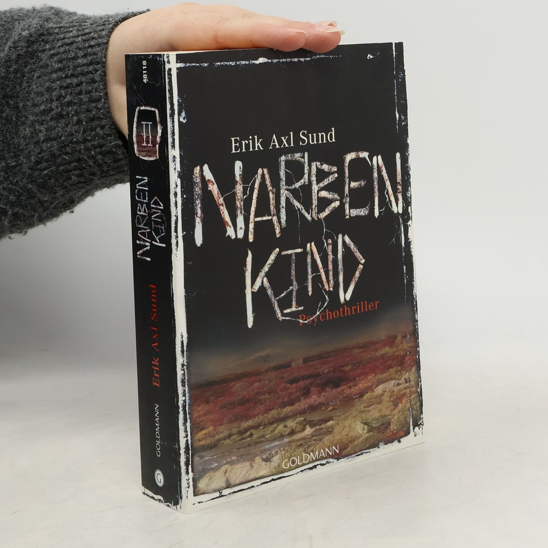 Erik Axl Sund Narbenkind