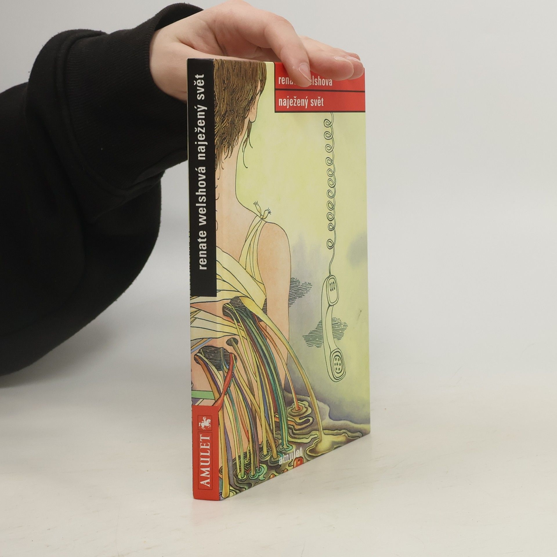 Renate Welsh Naježený svět