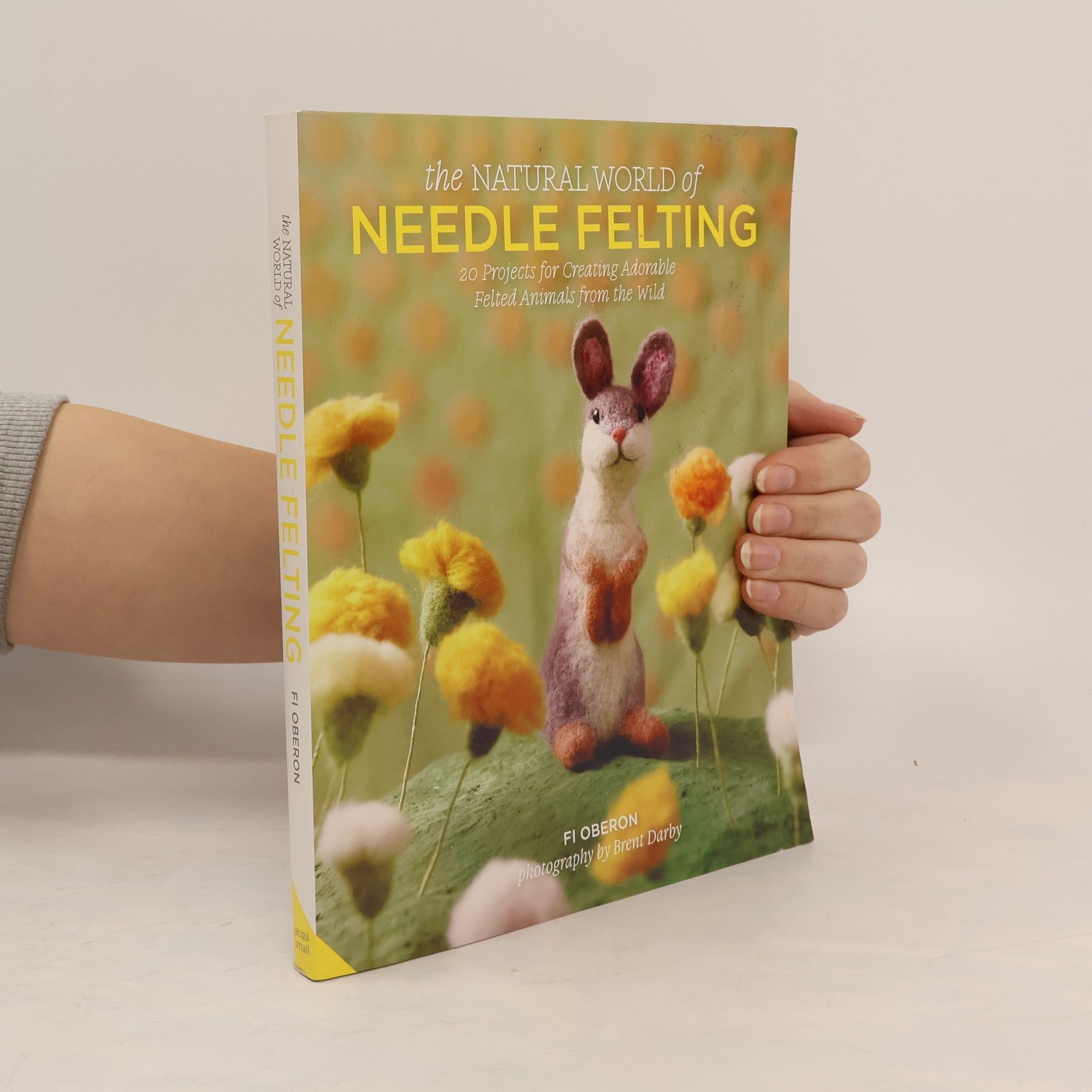 Fi Oberon The Natural World of Needle Felting