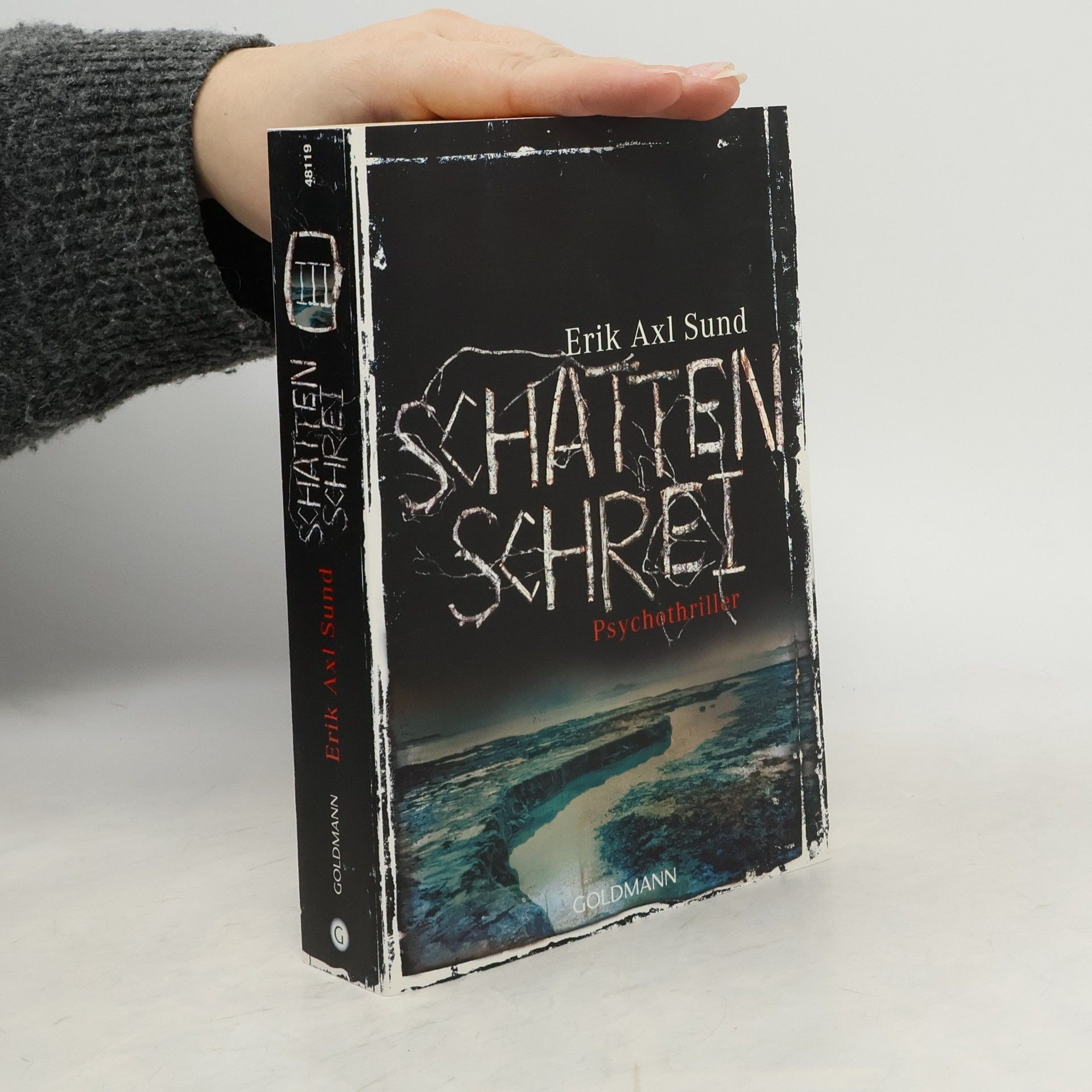 Erik Axl Sund Schattenschrei