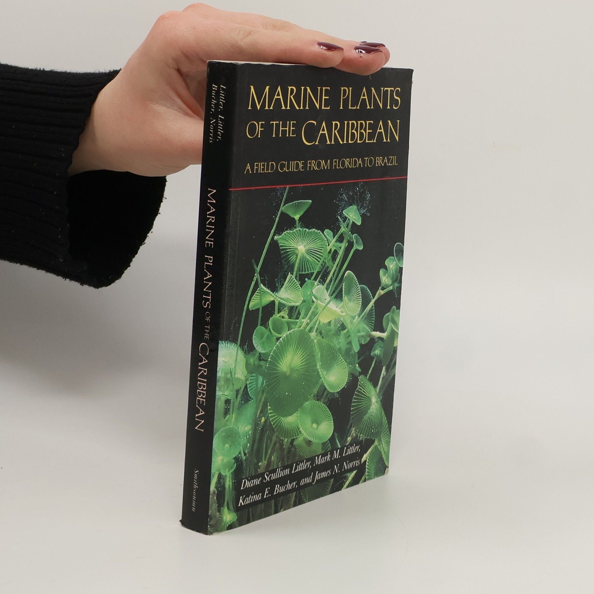 Auteurscollectief Marine Plants of the Caribbean