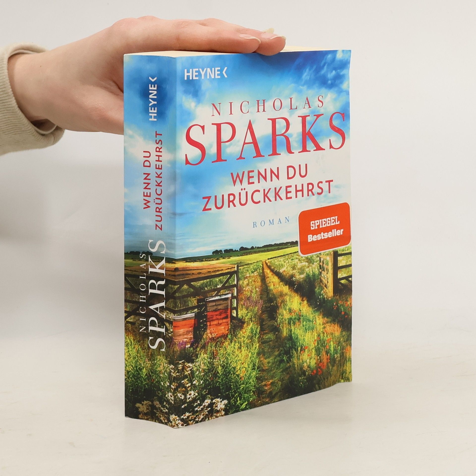Nicholas Sparks Wenn du zurückkehrst
