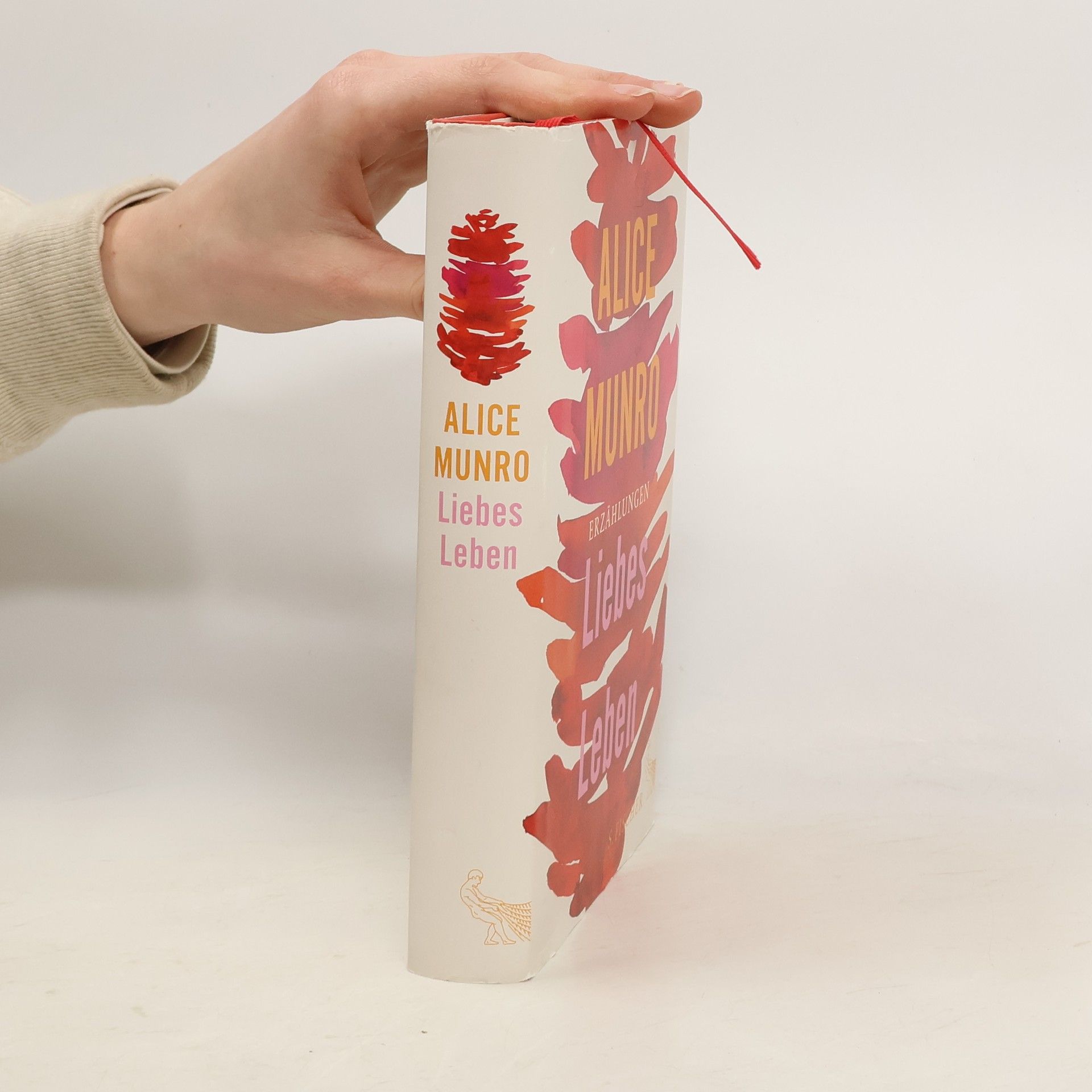 Alice Munro Liebes Leben