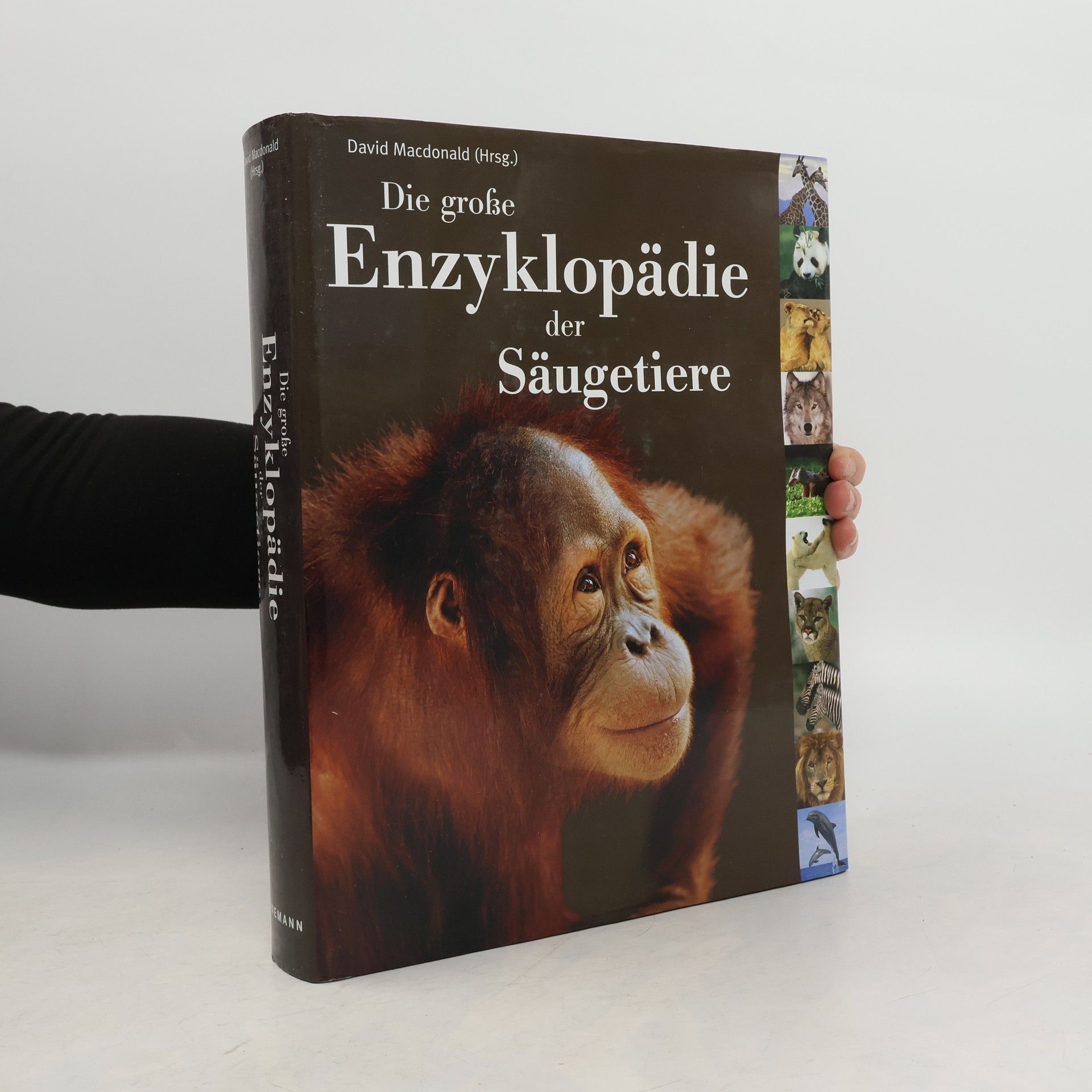 David Macdonald Die große Enzyklopädie der Säugetiere