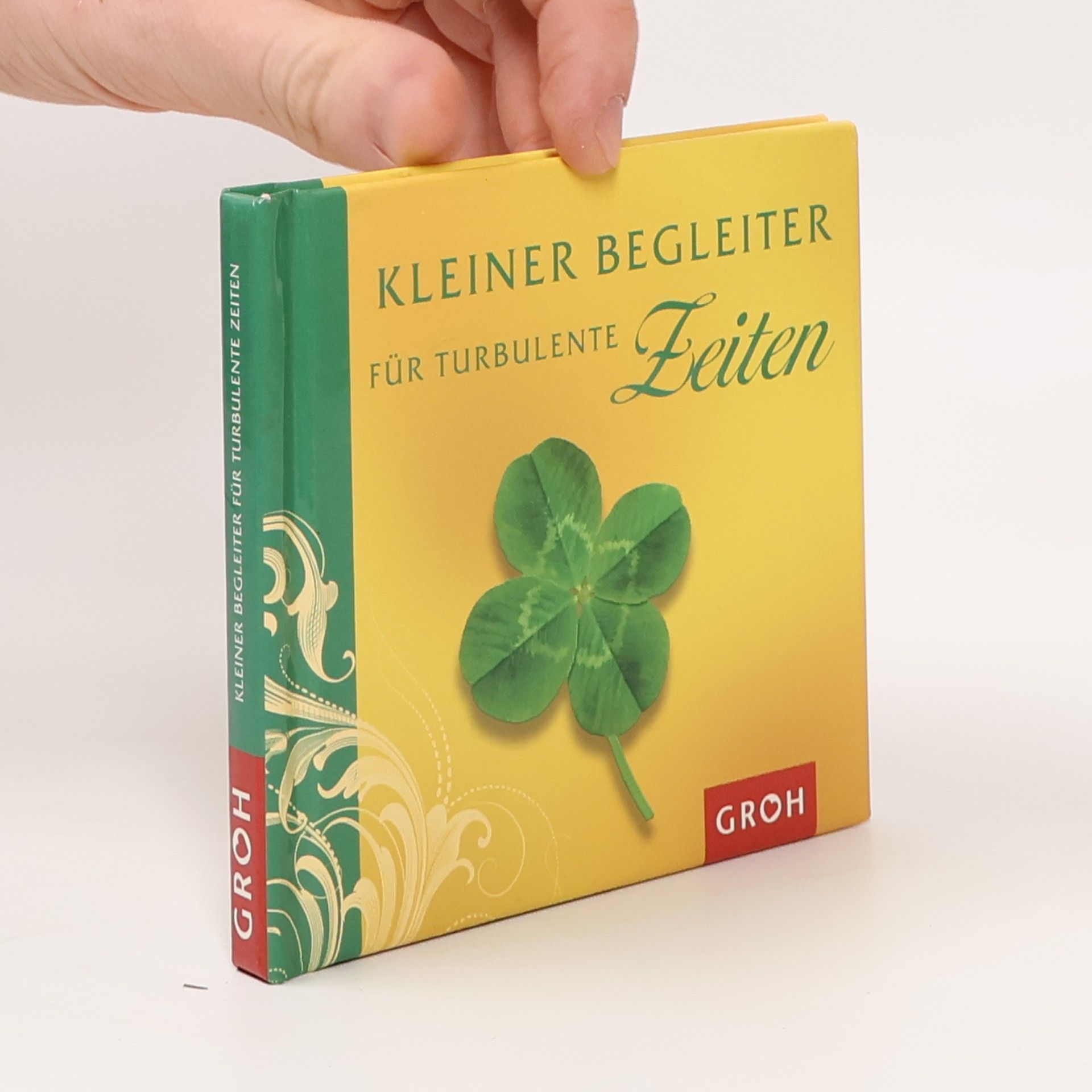 Kristina Küstner Kleiner Begleiter für turbulente Zeiten