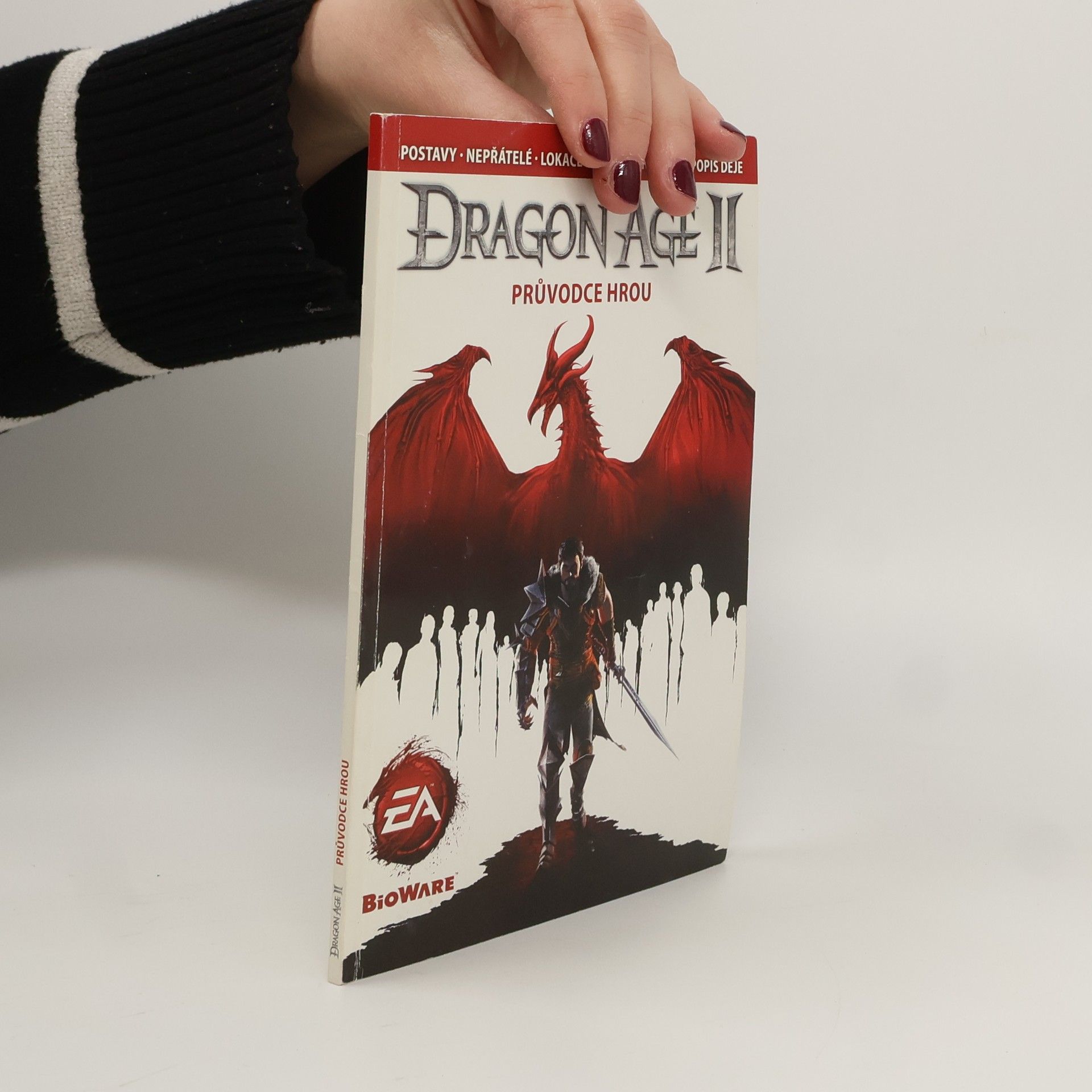 Autorenkollektiv Dragon Age II.