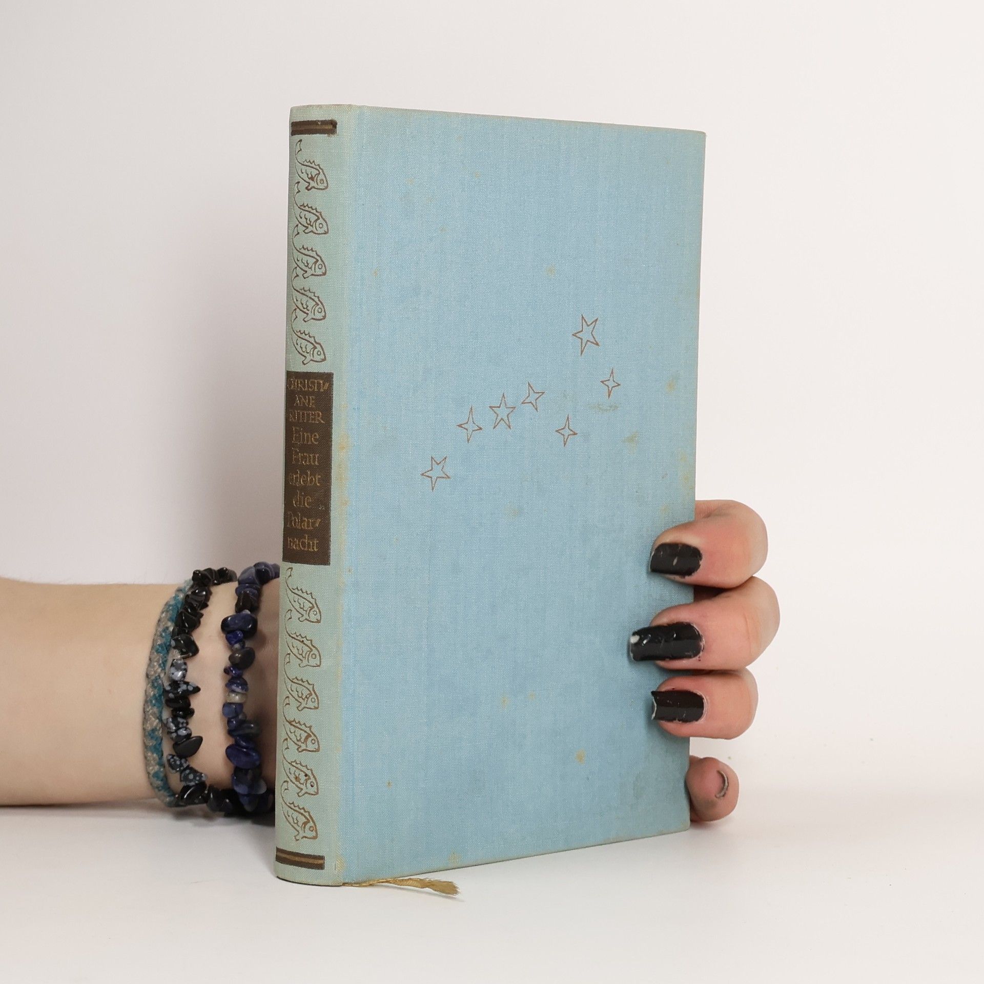 Eine Frau erlebt die Polarnacht