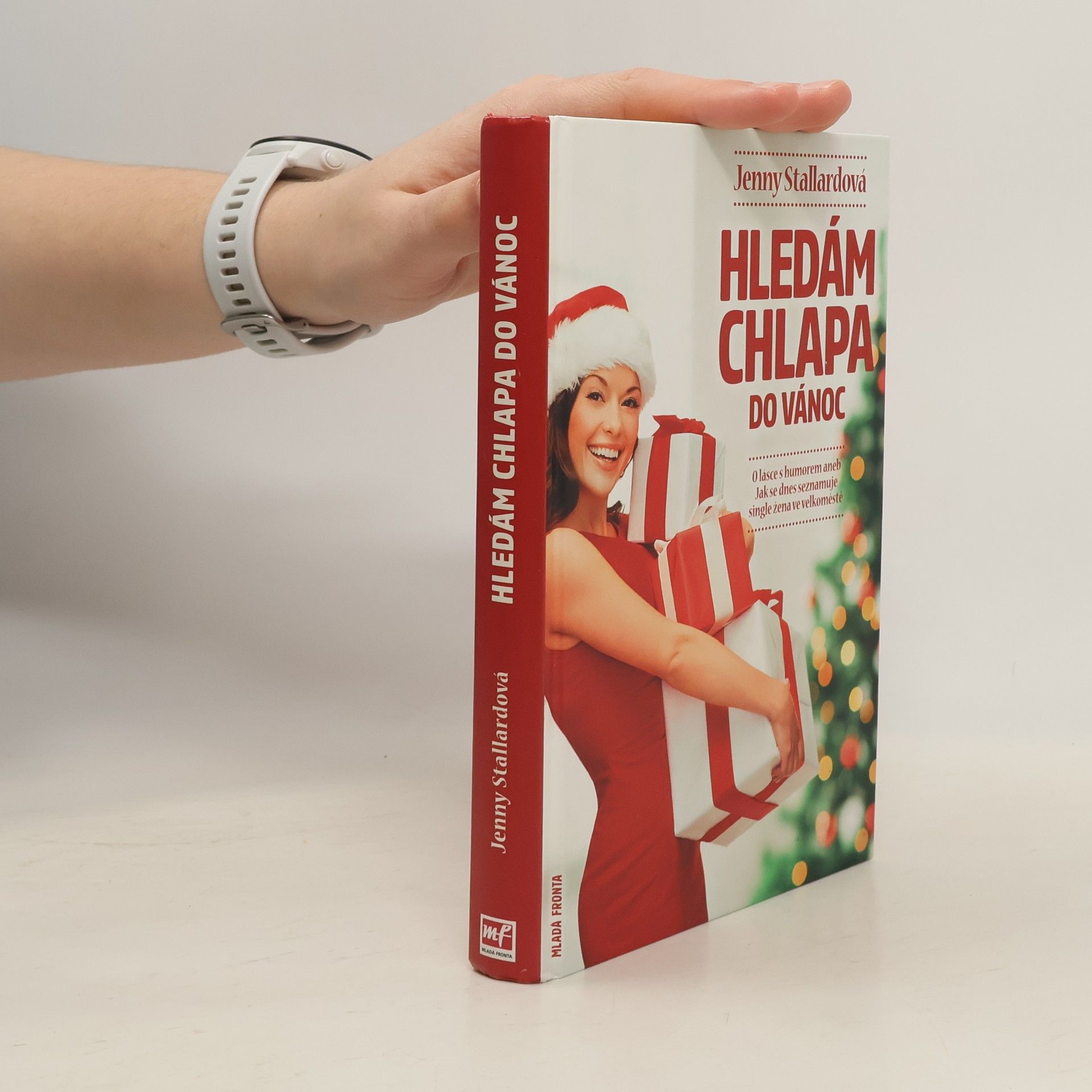 Jenny Stallard Hledám chlapa do Vánoc