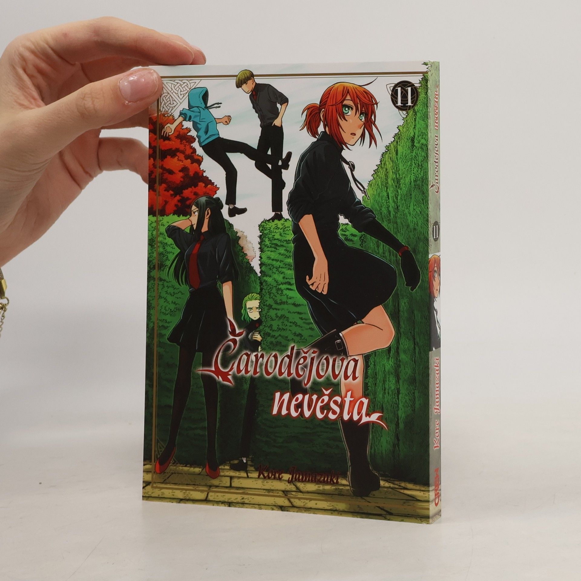 Kore Jamazaki Čarodějova nevěsta 11