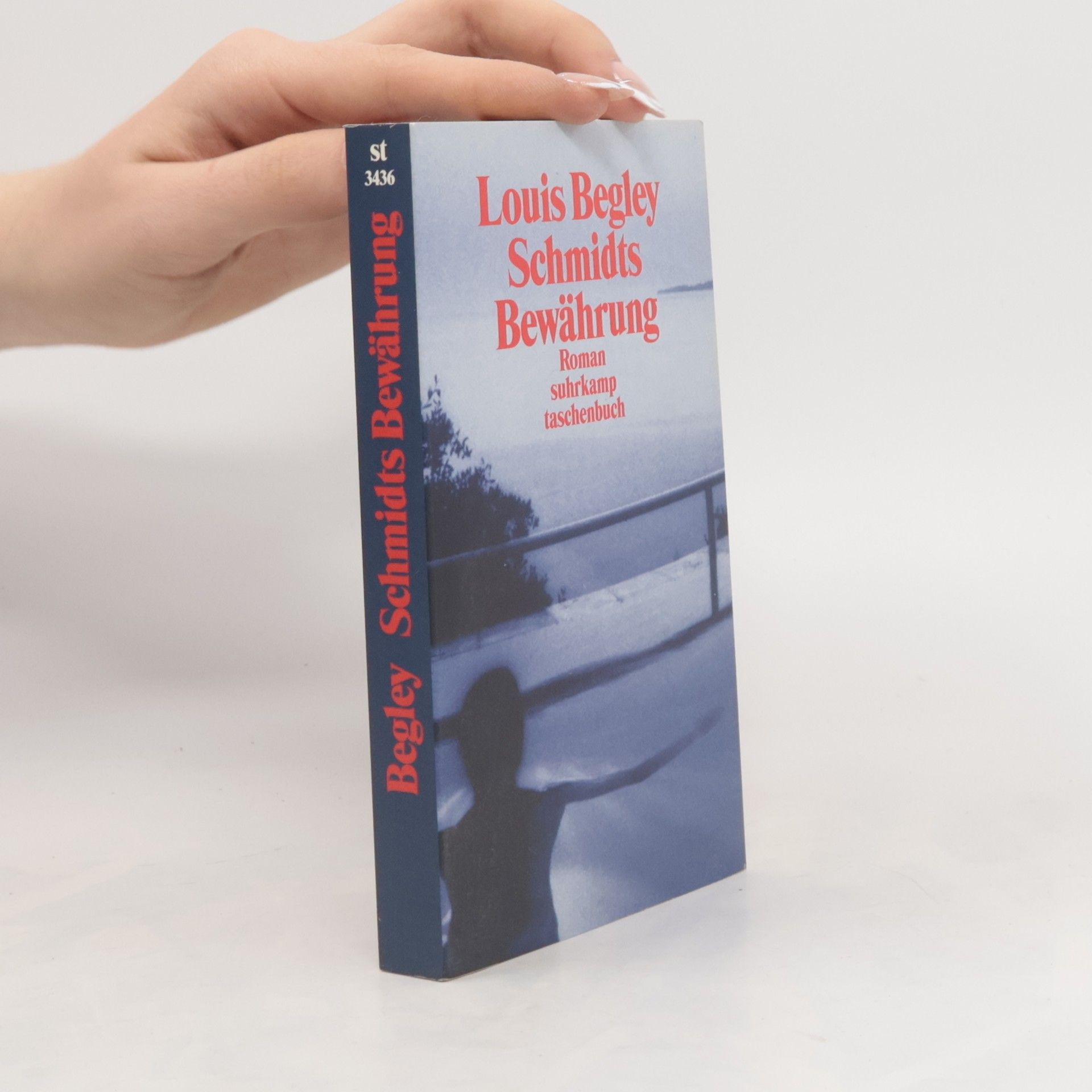 Louis Begley Schmidts Bewährung