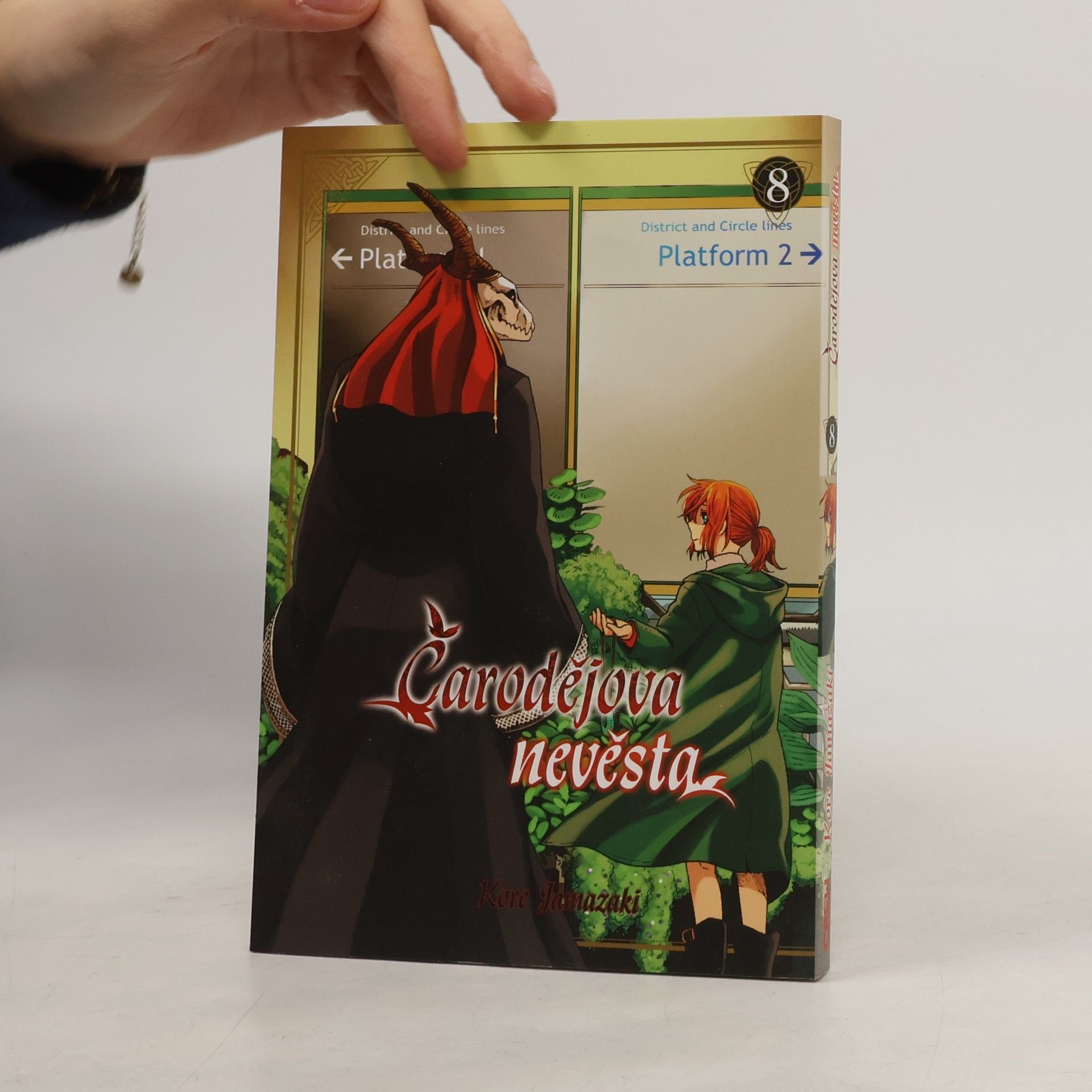 Kore Jamazaki Čarodějova nevěsta 8