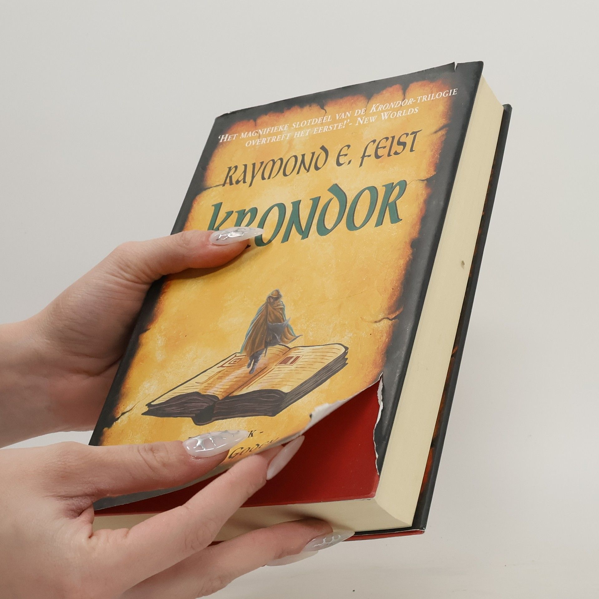 Richard Heufkens Krondor-trilogie - 3: Traan der goden