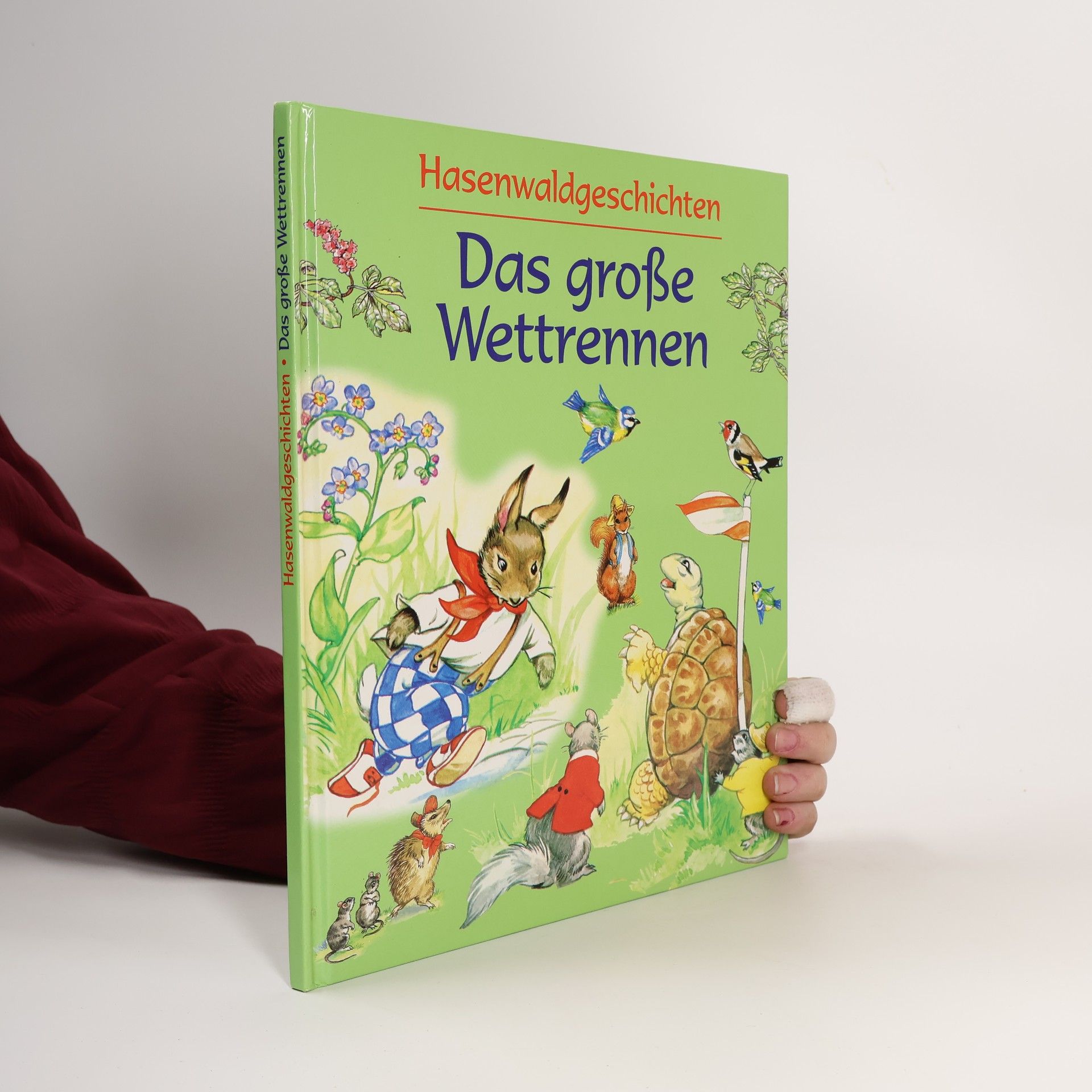 Autorenkollektiv Hasenwaldgeschichten. Das große Wettrennen.