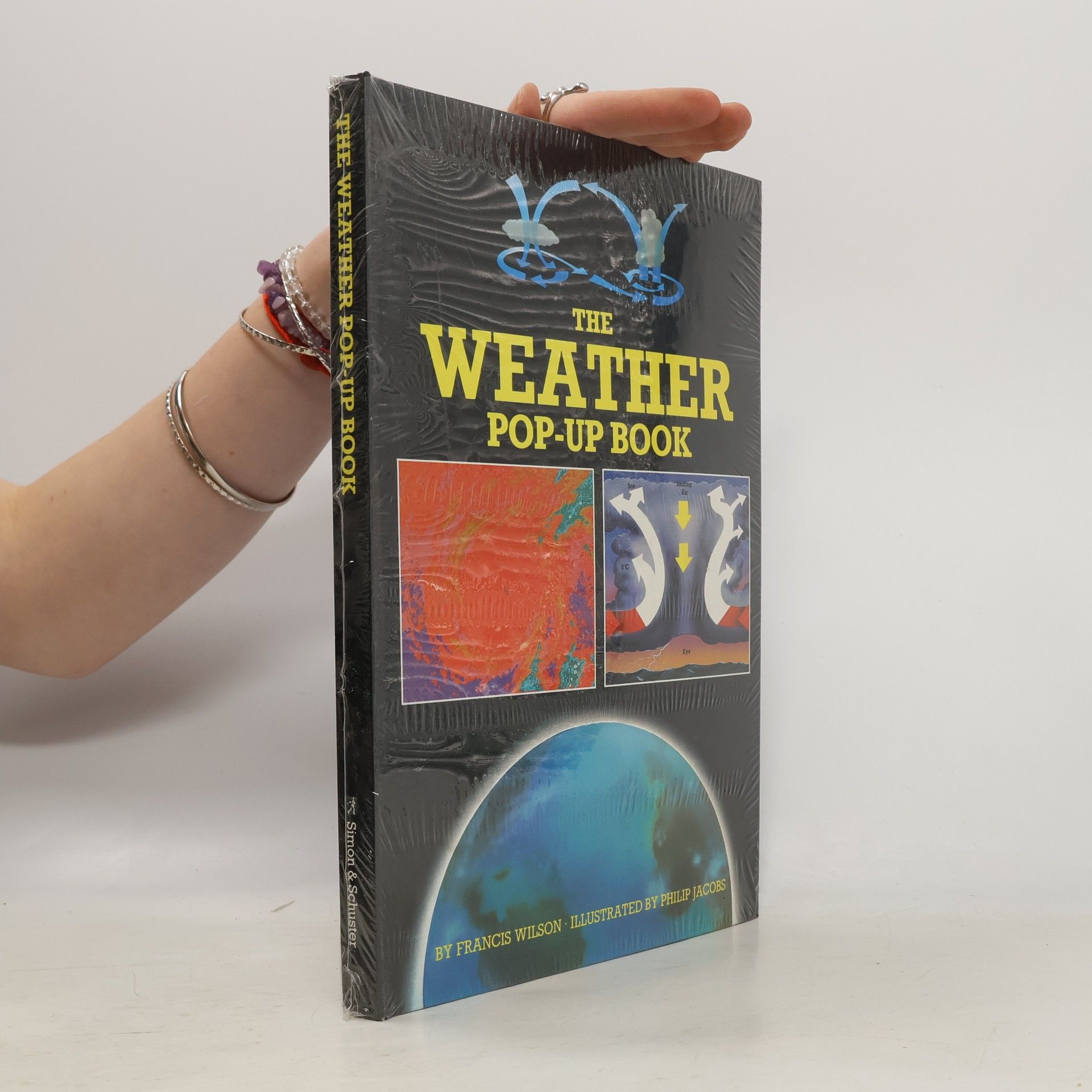 Paul Wilgress The Weather Pop-Up Book