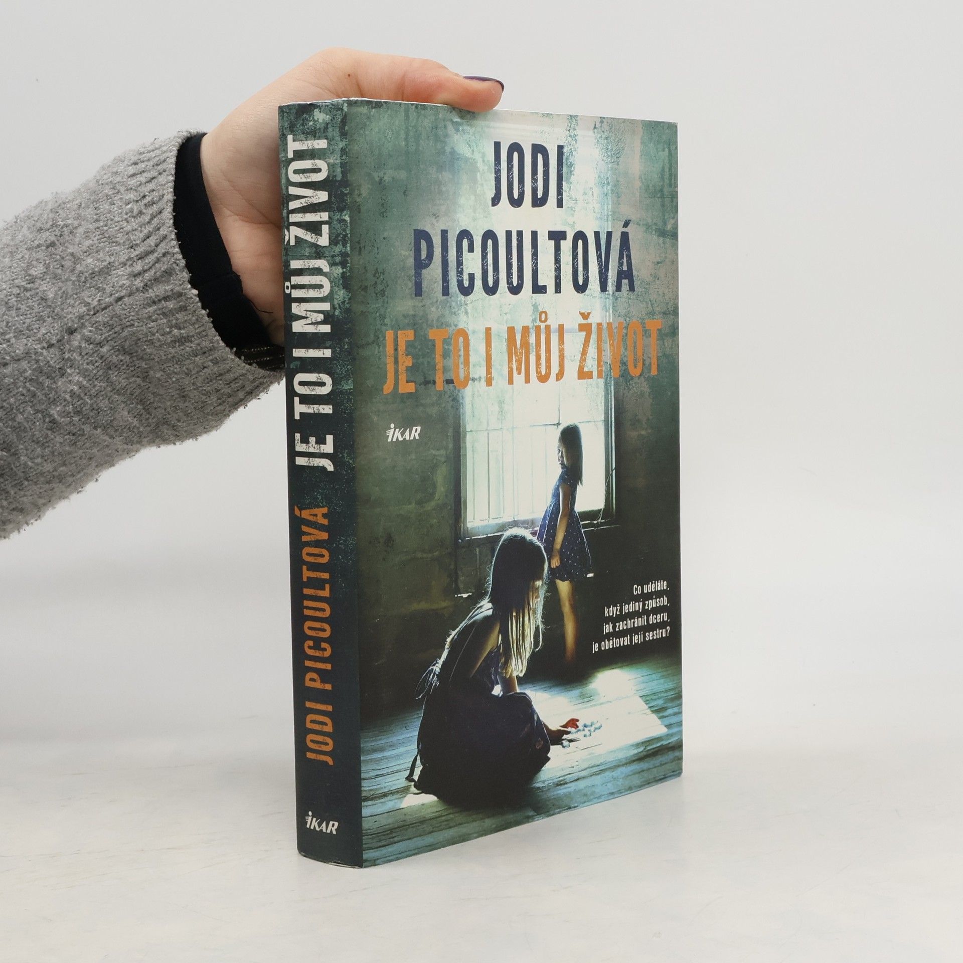 Jodi Picoult Je to i můj život