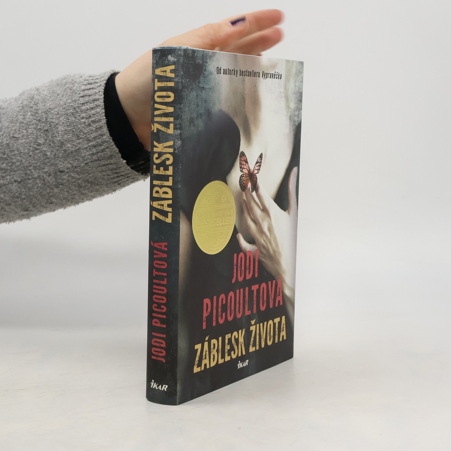 Jodi Picoult Záblesk života