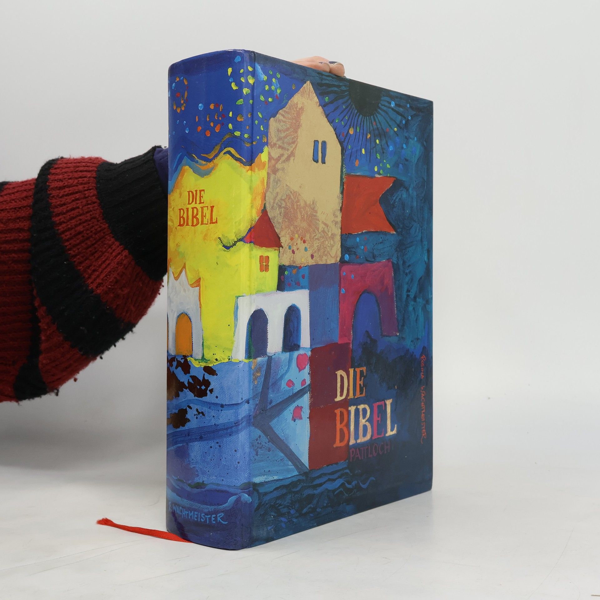 Vinzenz Hamp Die Bibel