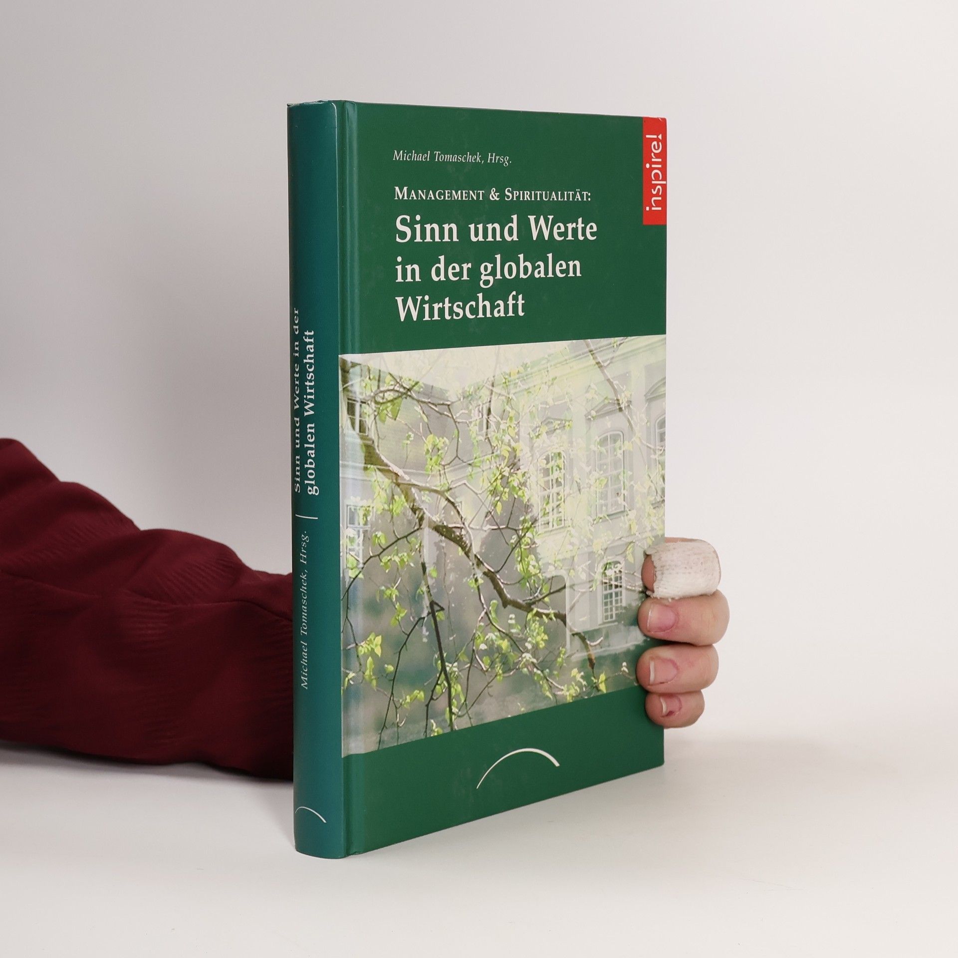 Michael Tomaschek Management & Spiritualität: Sinn und Werte in der globalen Wirtschaft