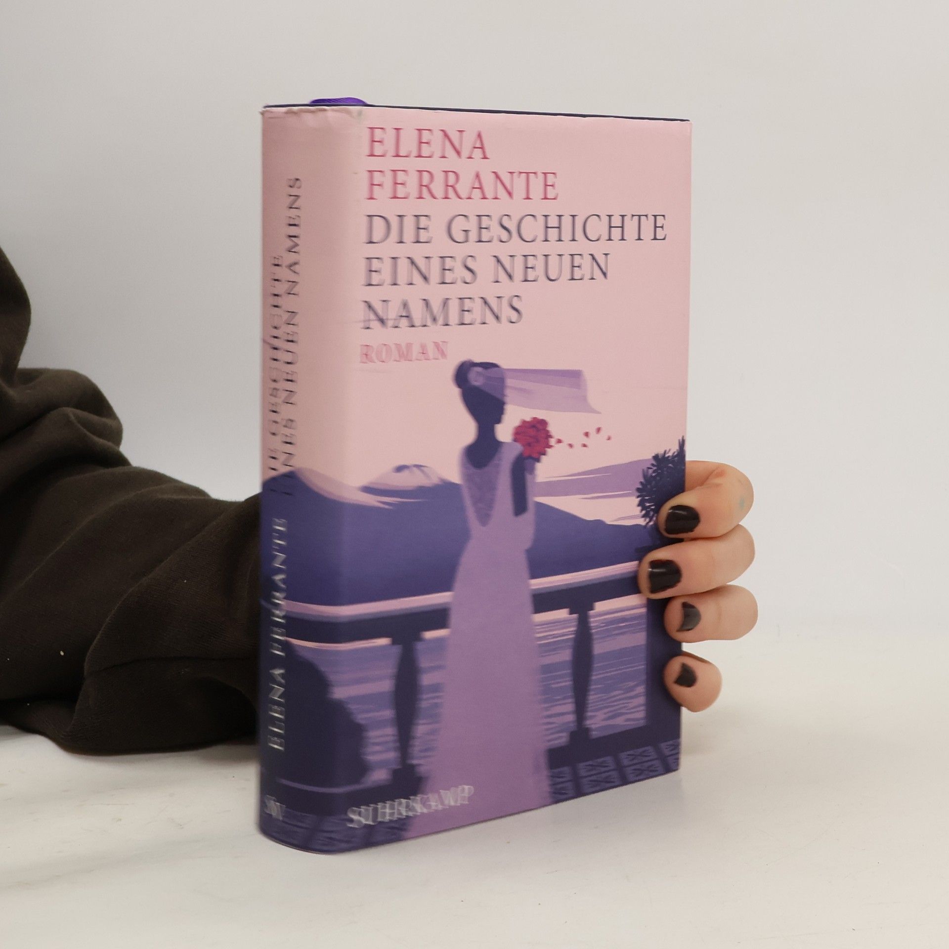 Elena Ferrante Die Geschichte eines neuen Namens: Jugendjahre