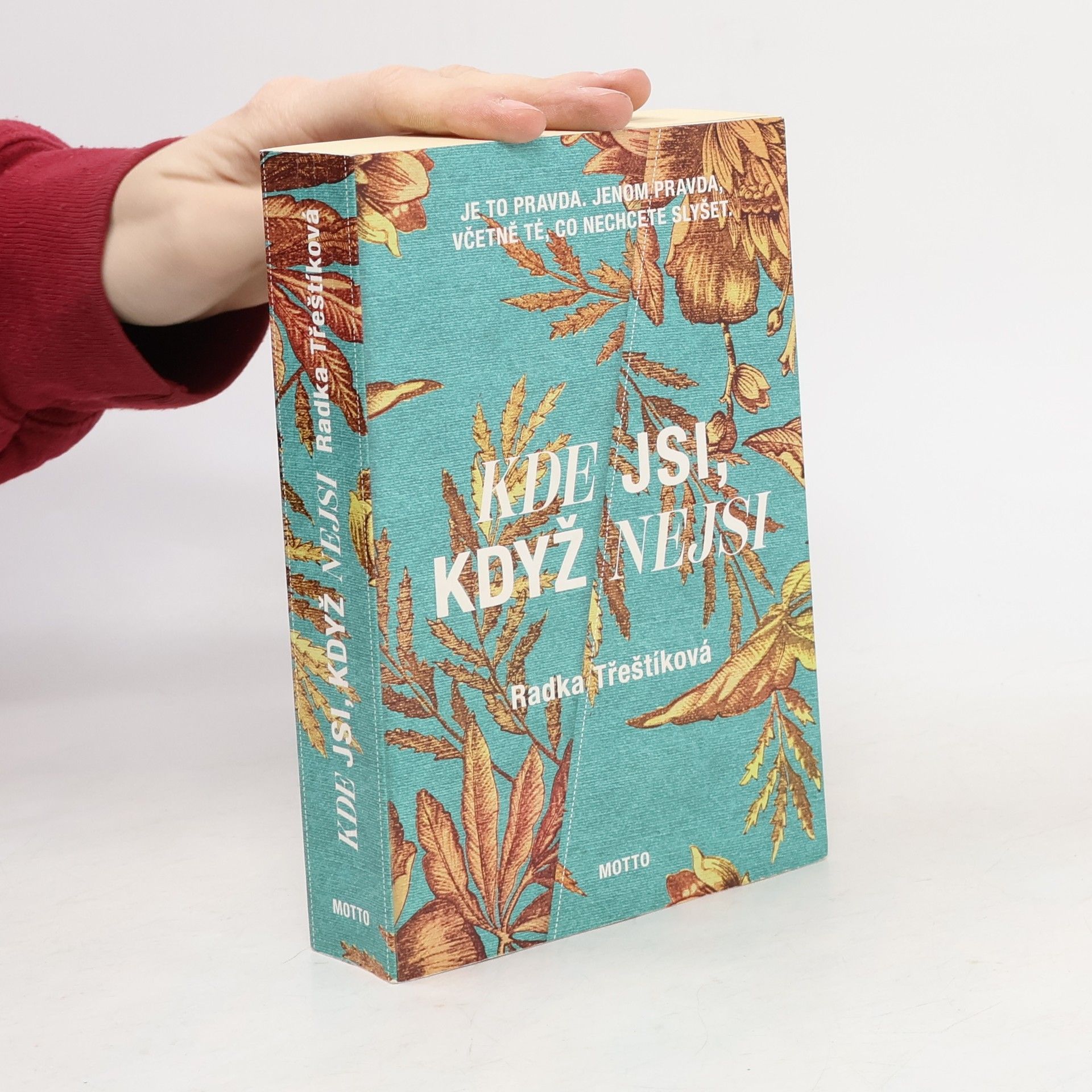 Radka Třeštíková Kde jsi, když nejsi