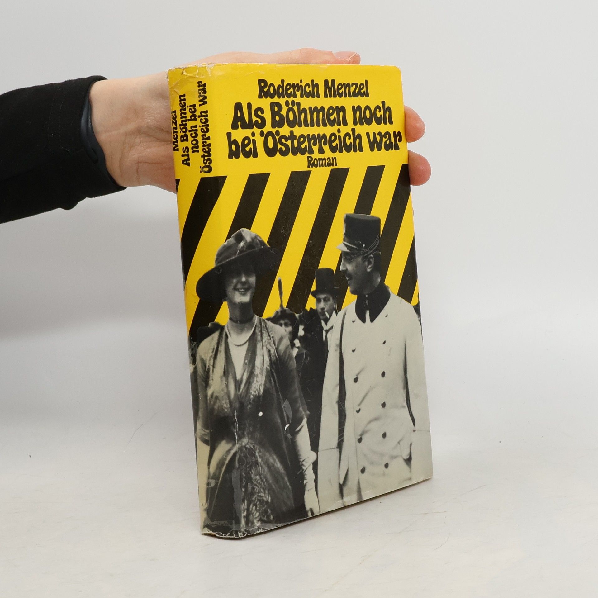 Roderich Menzel Als Böhmen noch bei Österreich war