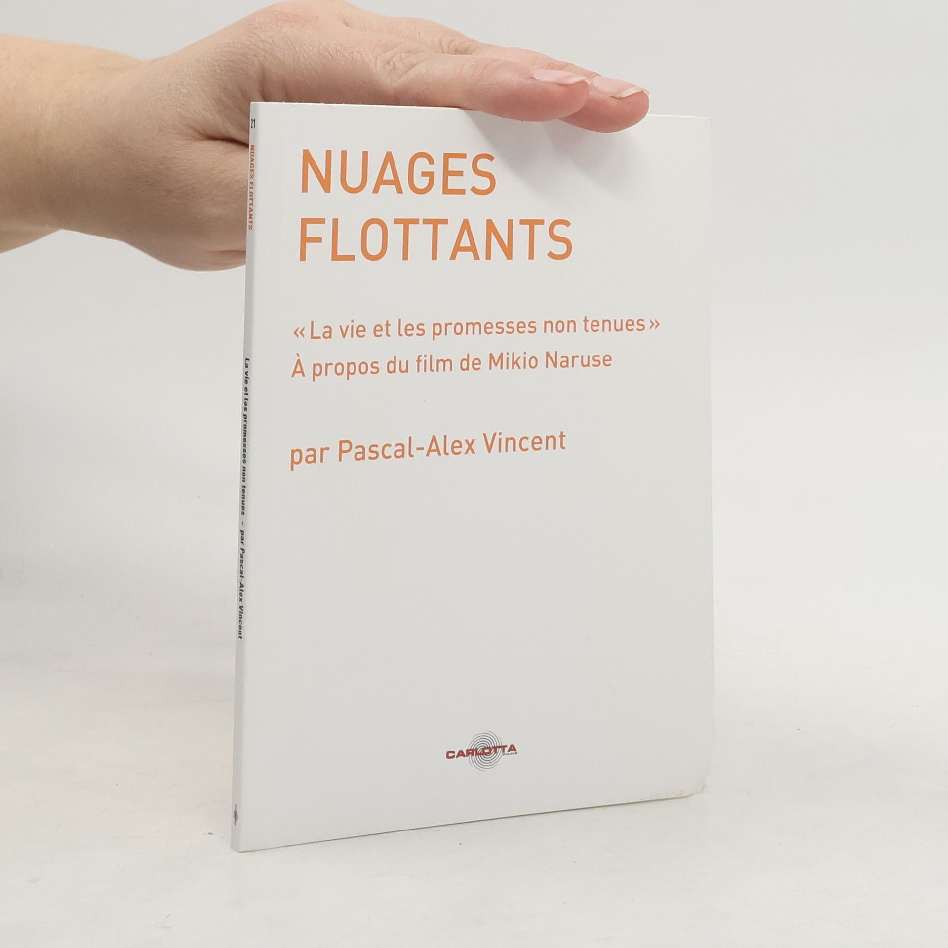 Pascal Alex Vincent Nuages flottants