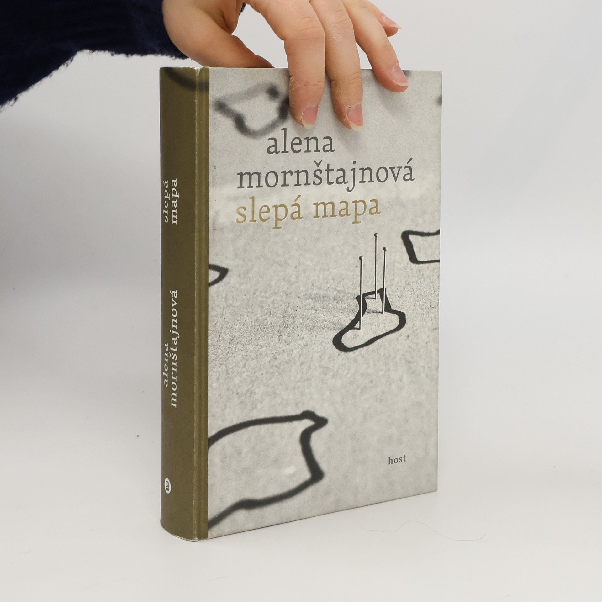 Alena Mornštajnová Slepá mapa