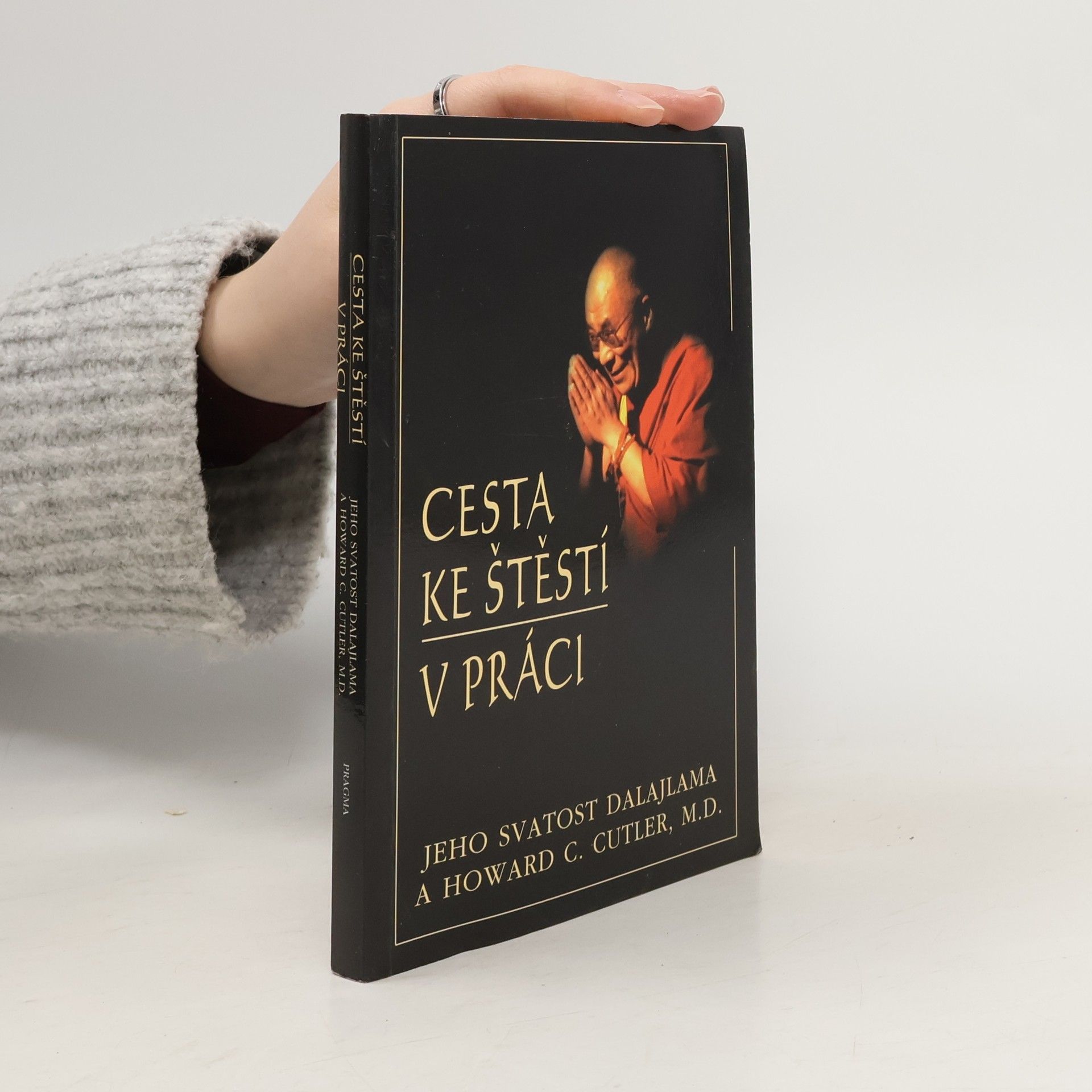 Bstan\'dzinrgyamtsho Cesta ke štěstí v práci