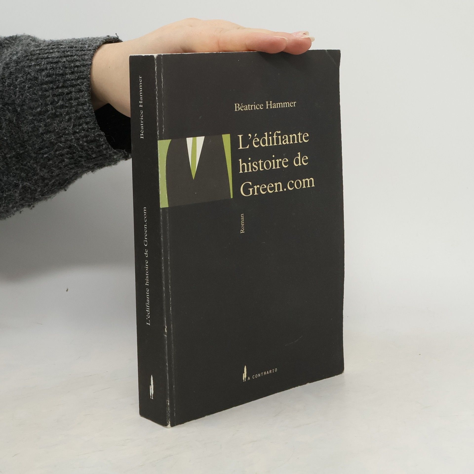 Béatrice Hammer L'édifiante histoire de Green.com