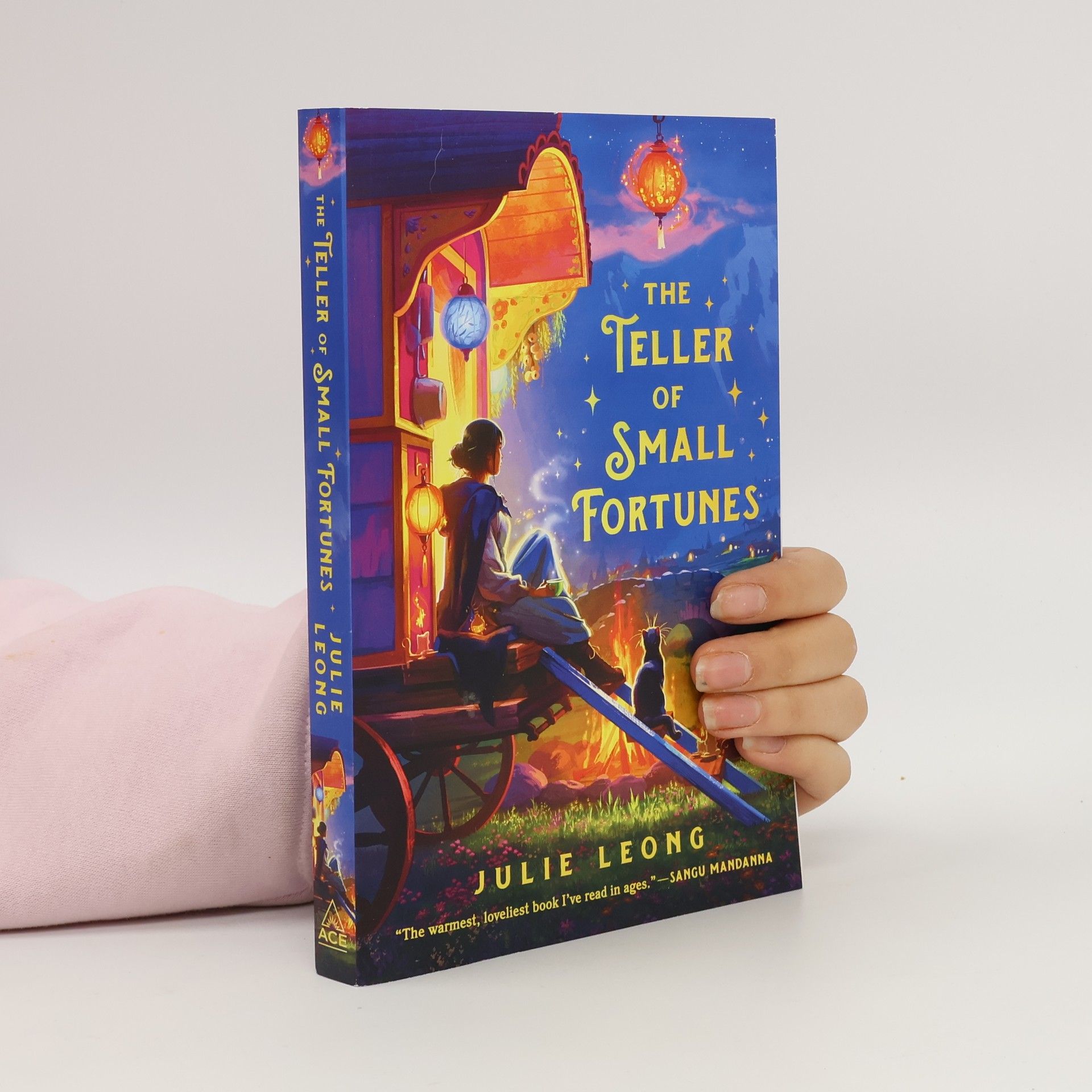 Julie Leong The Teller of Small Fortunes