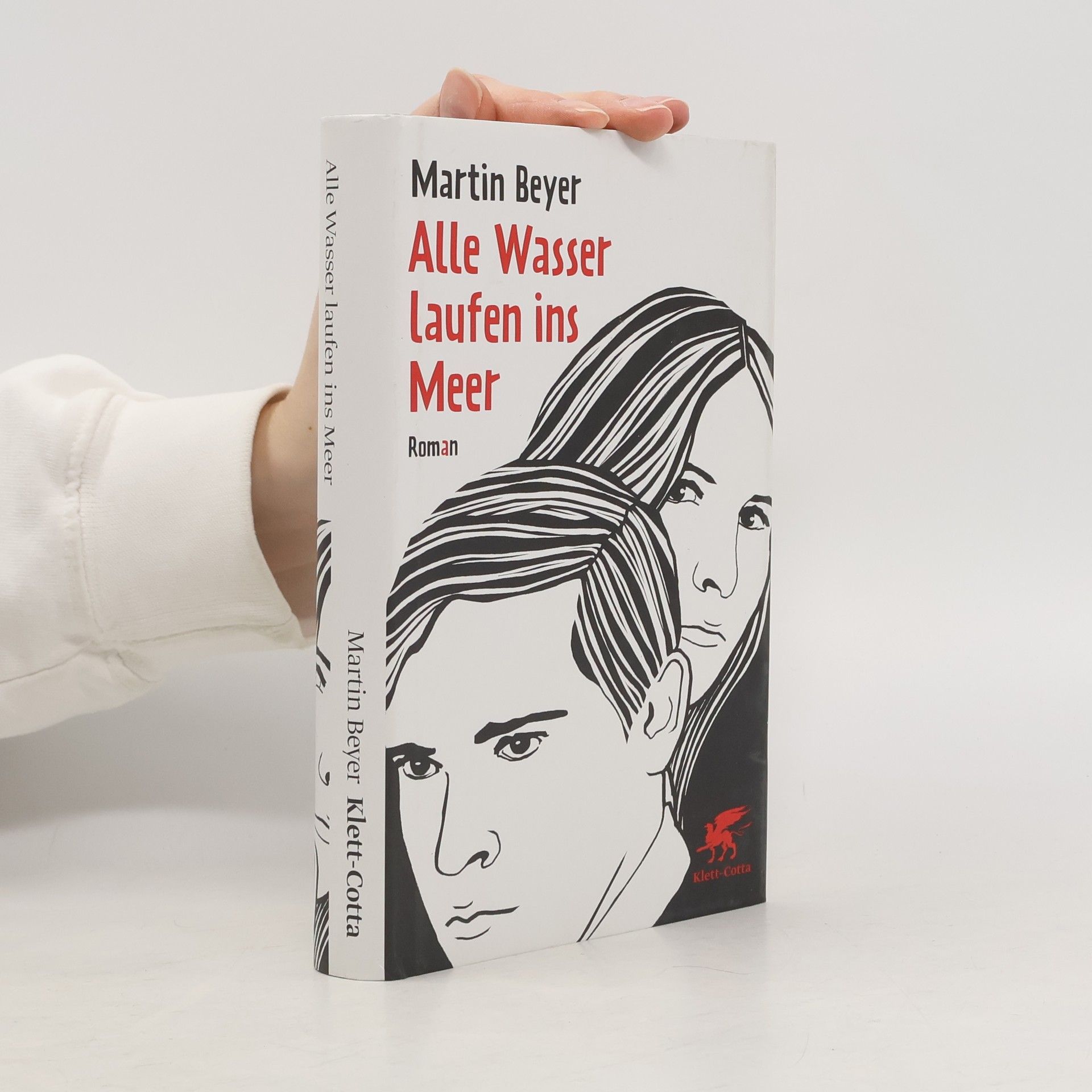 Alle Wasser laufen ins Meer